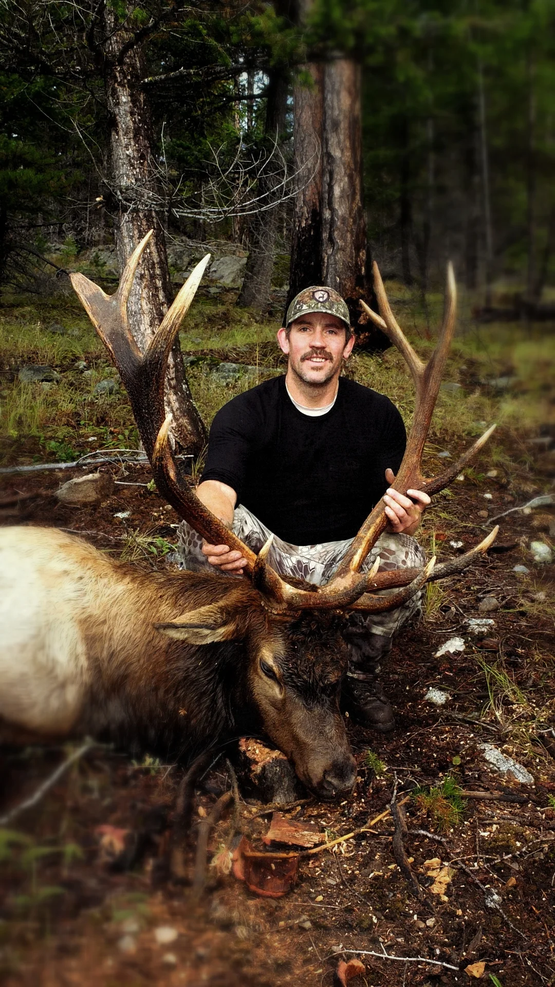 Bull Elk - Moyie Lake, BC 2013