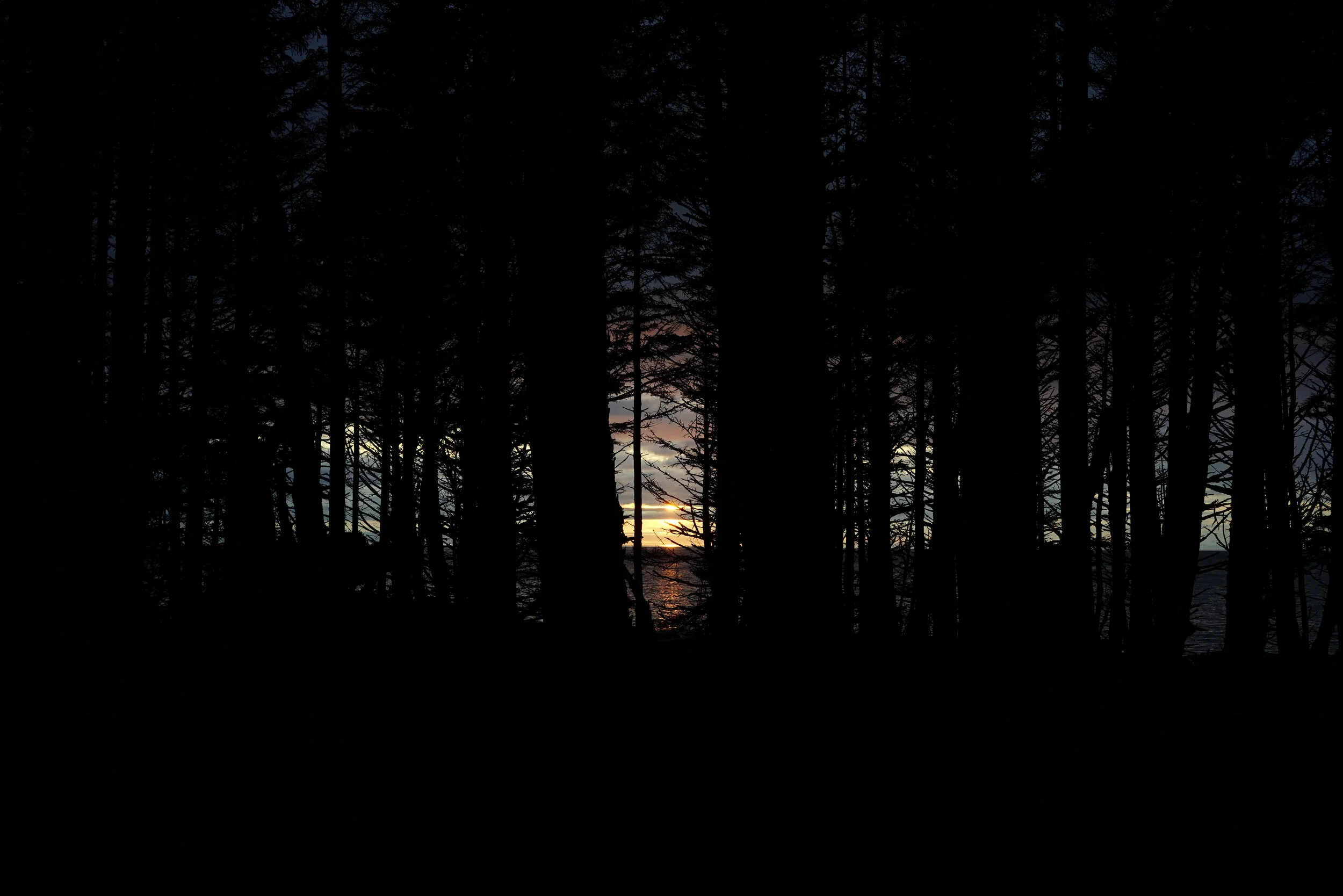 _DSC9950.jpg