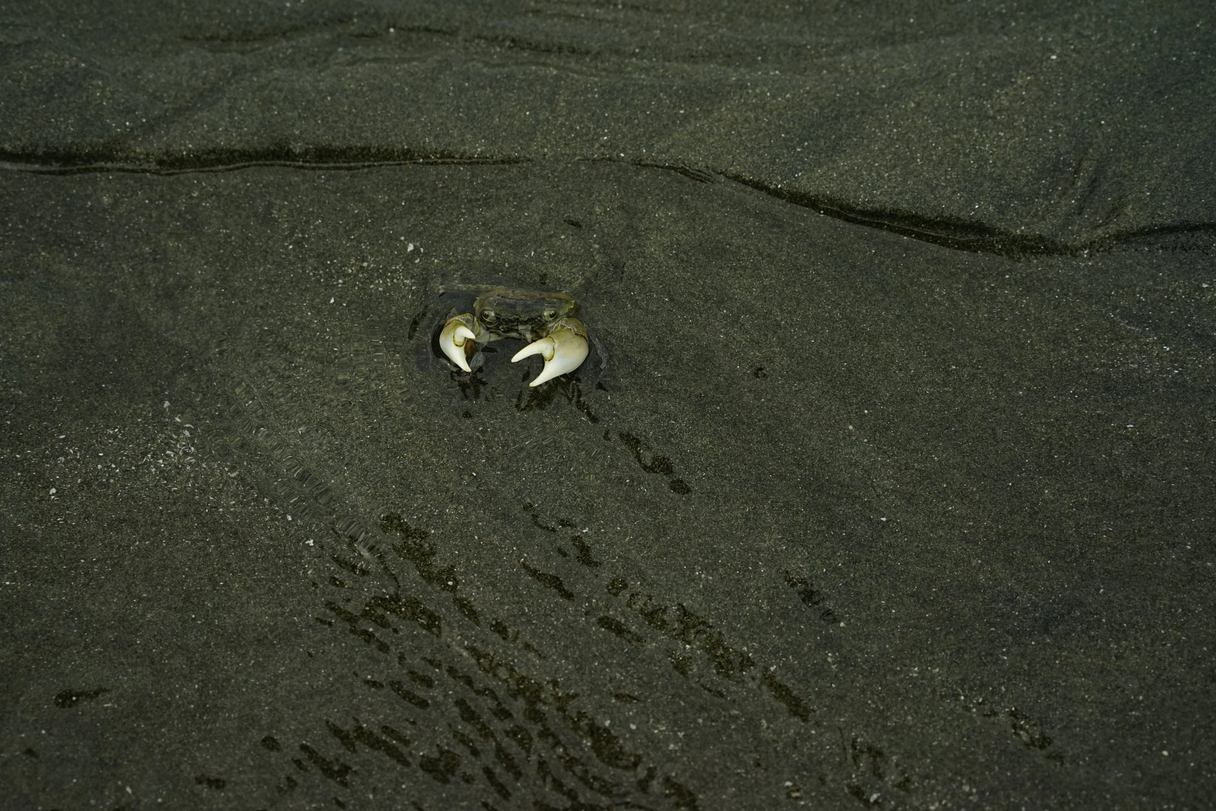 F*%k around and find out! Haida Gwaii 2019