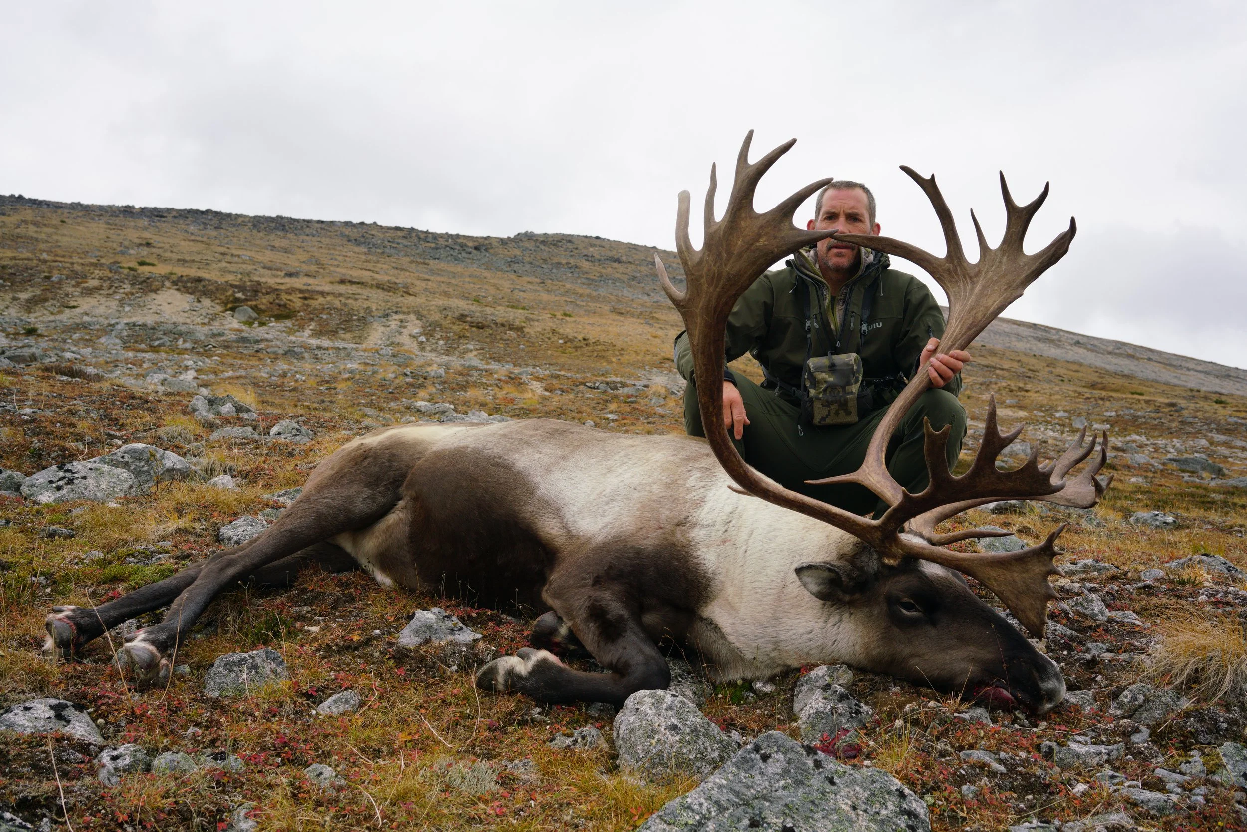 Solo Caribou Hunt, NWBC 2022