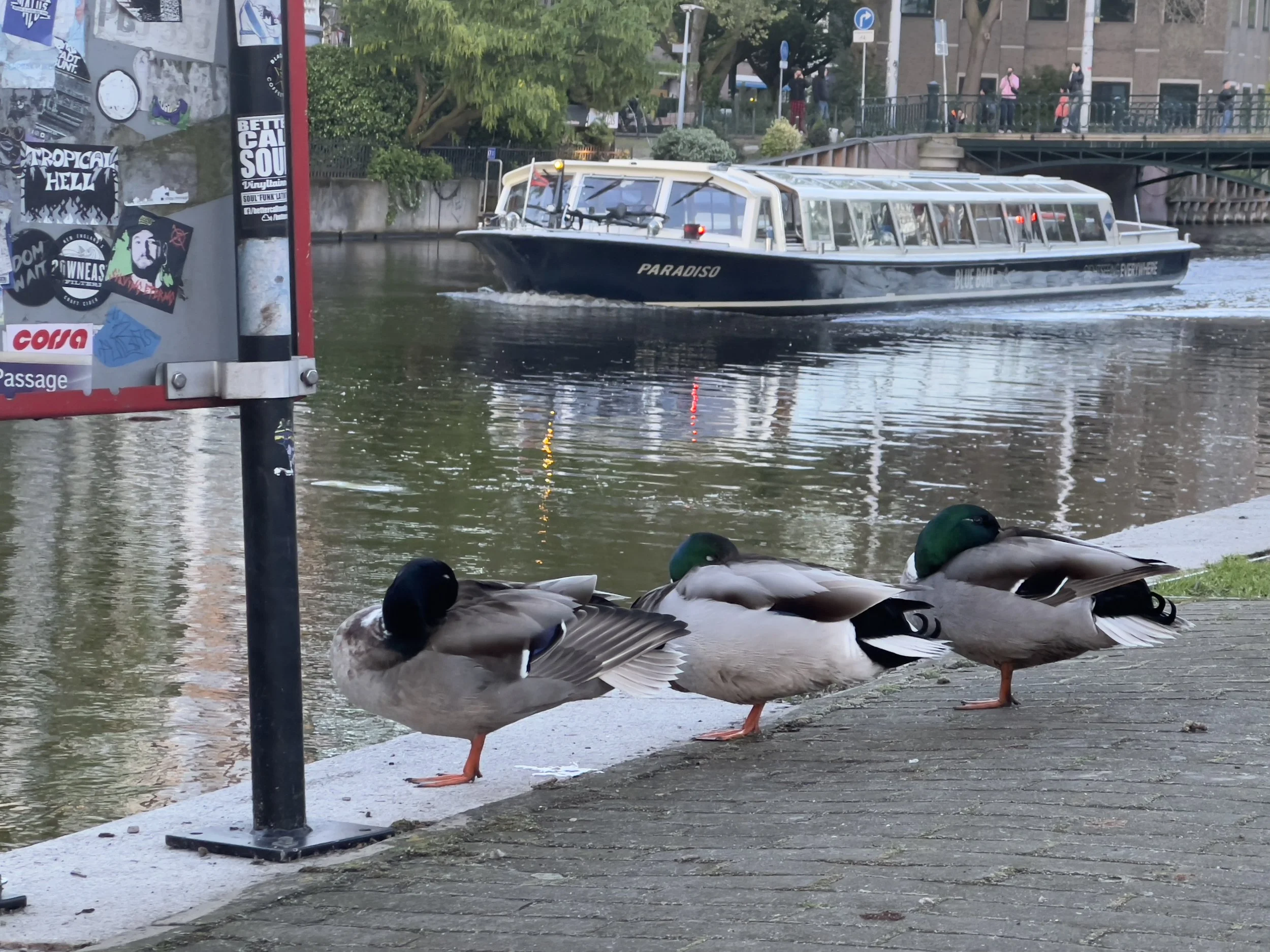 IMG_6865.jpeg