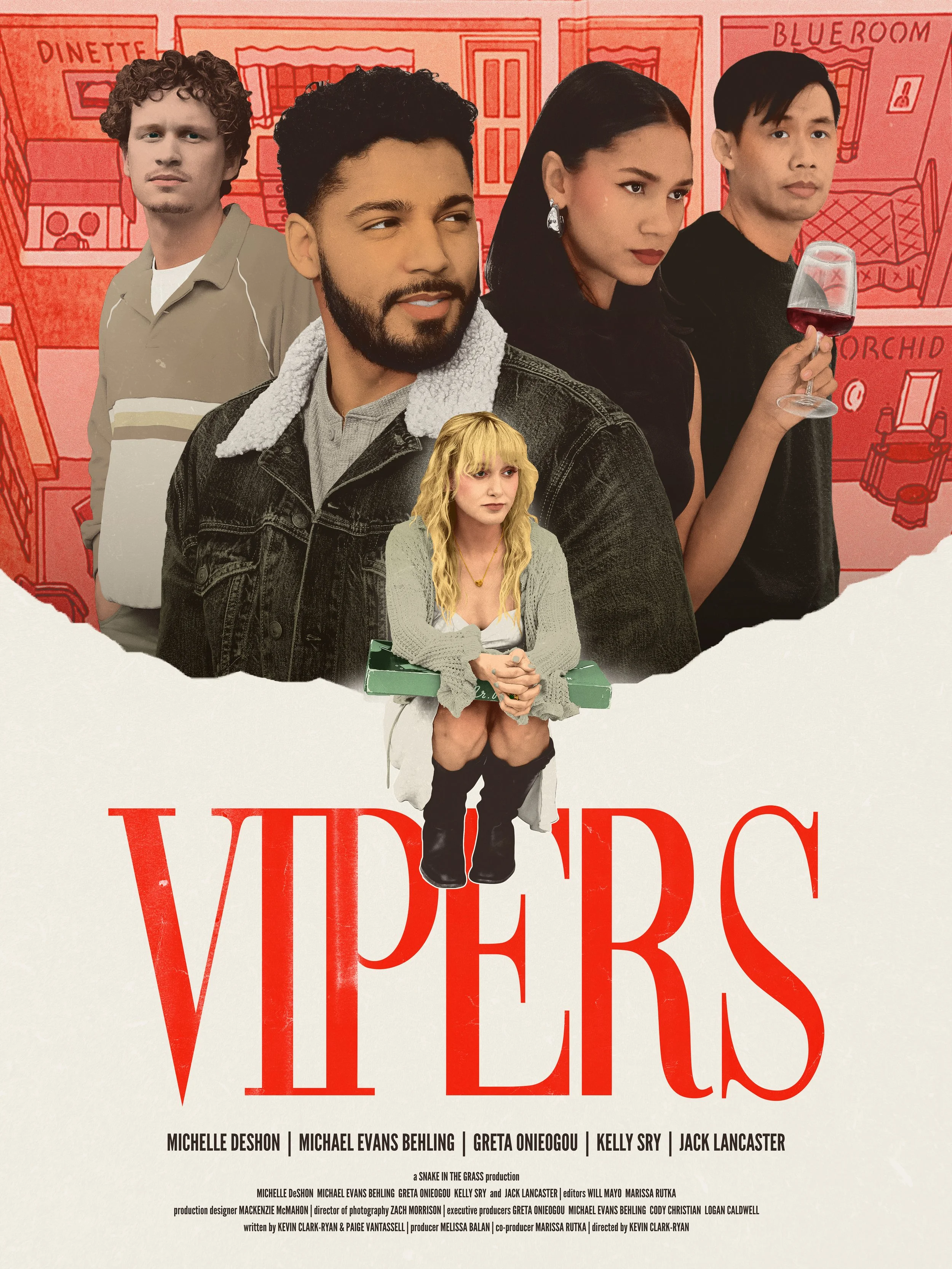 VIPERS poster Web.jpg