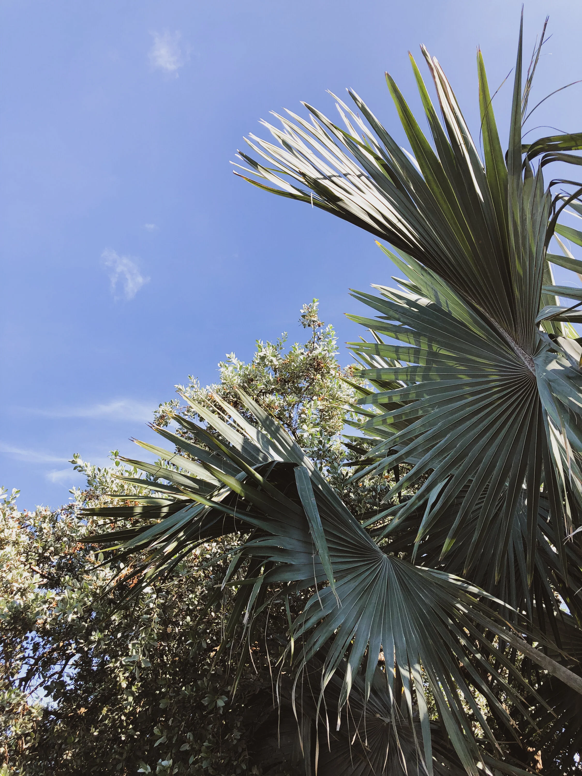 keywestpost-5.jpg