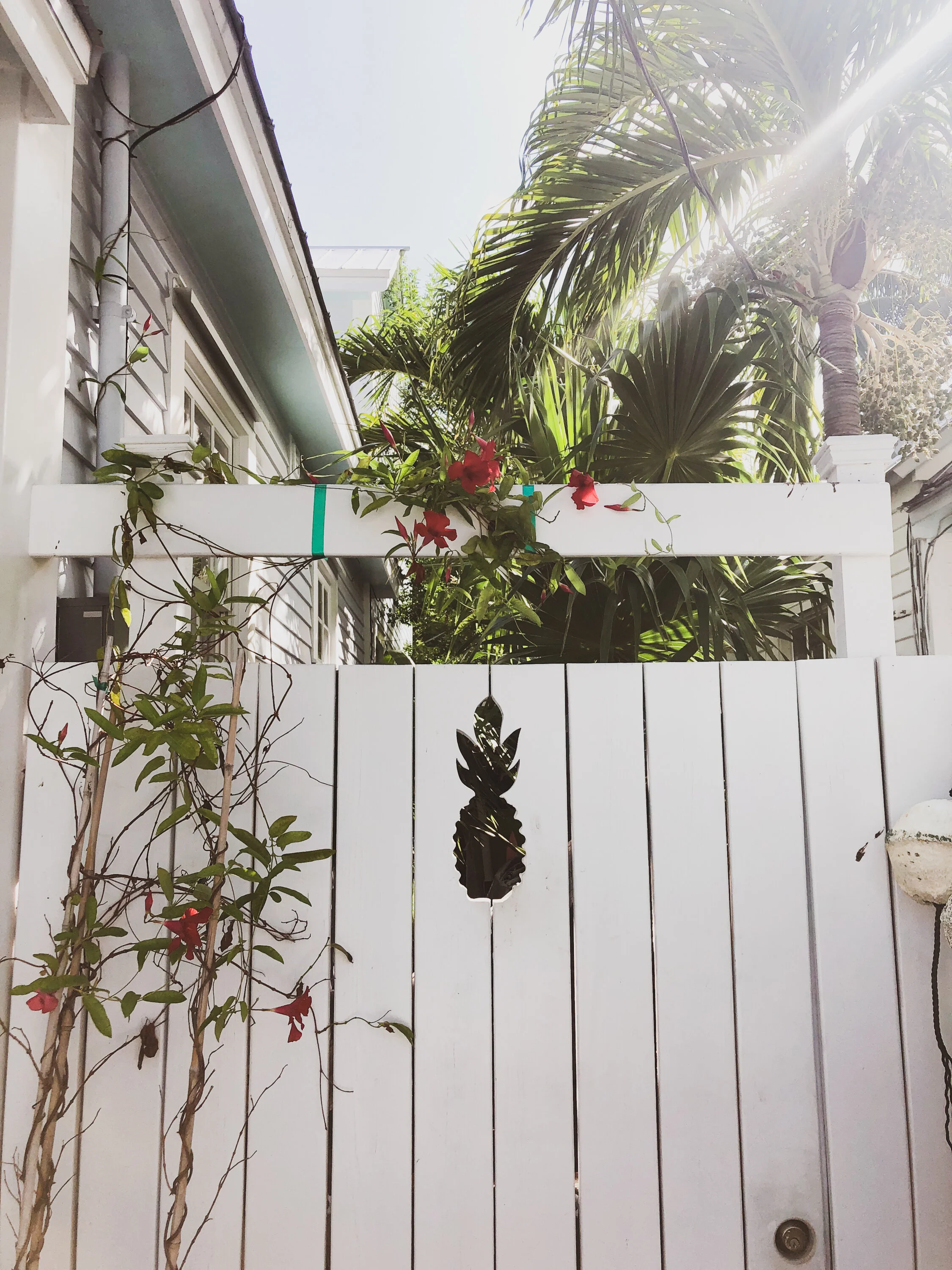 keywestpost-7.jpg