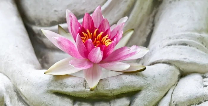 Buddha_Lotus_Flower.jpeg