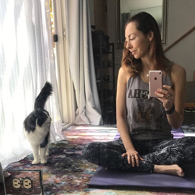 Taurus likes to talk to me when I'm sitting quietly &amp; trying to meditate. 😸 Yogi kitty kat Sundaze. #allthefeels
.
Remember to play! Dance, jump, laugh, each day we get to start over. Meditation is challenging, whether 5min a day on your mat, in