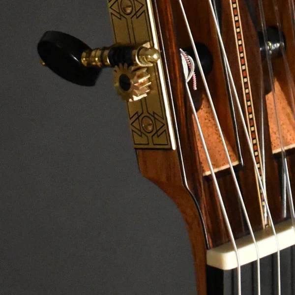Rodgers-Detail.jpg