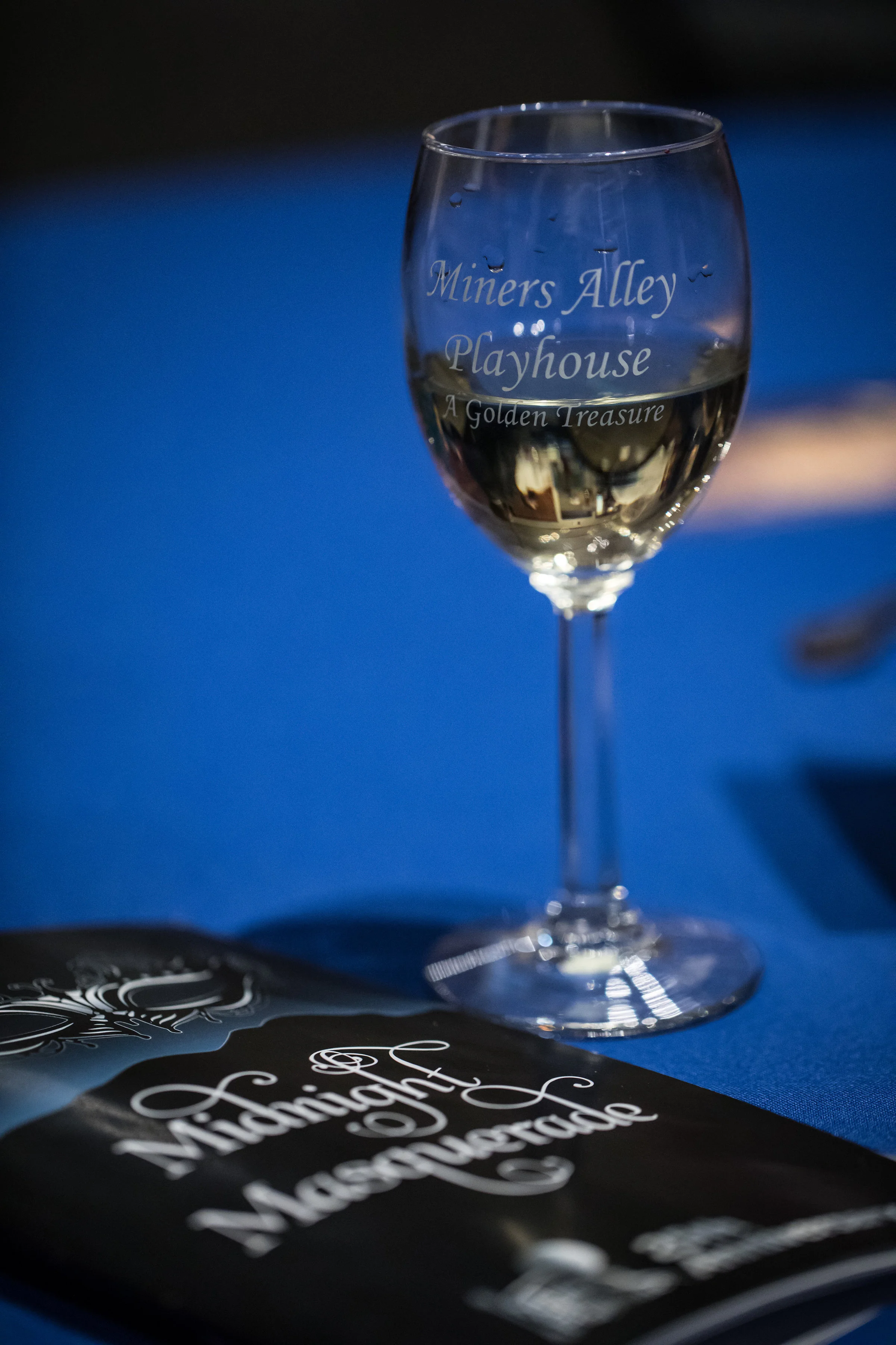 MinersAlley2017Gala_Highlights-6482 (3).jpg