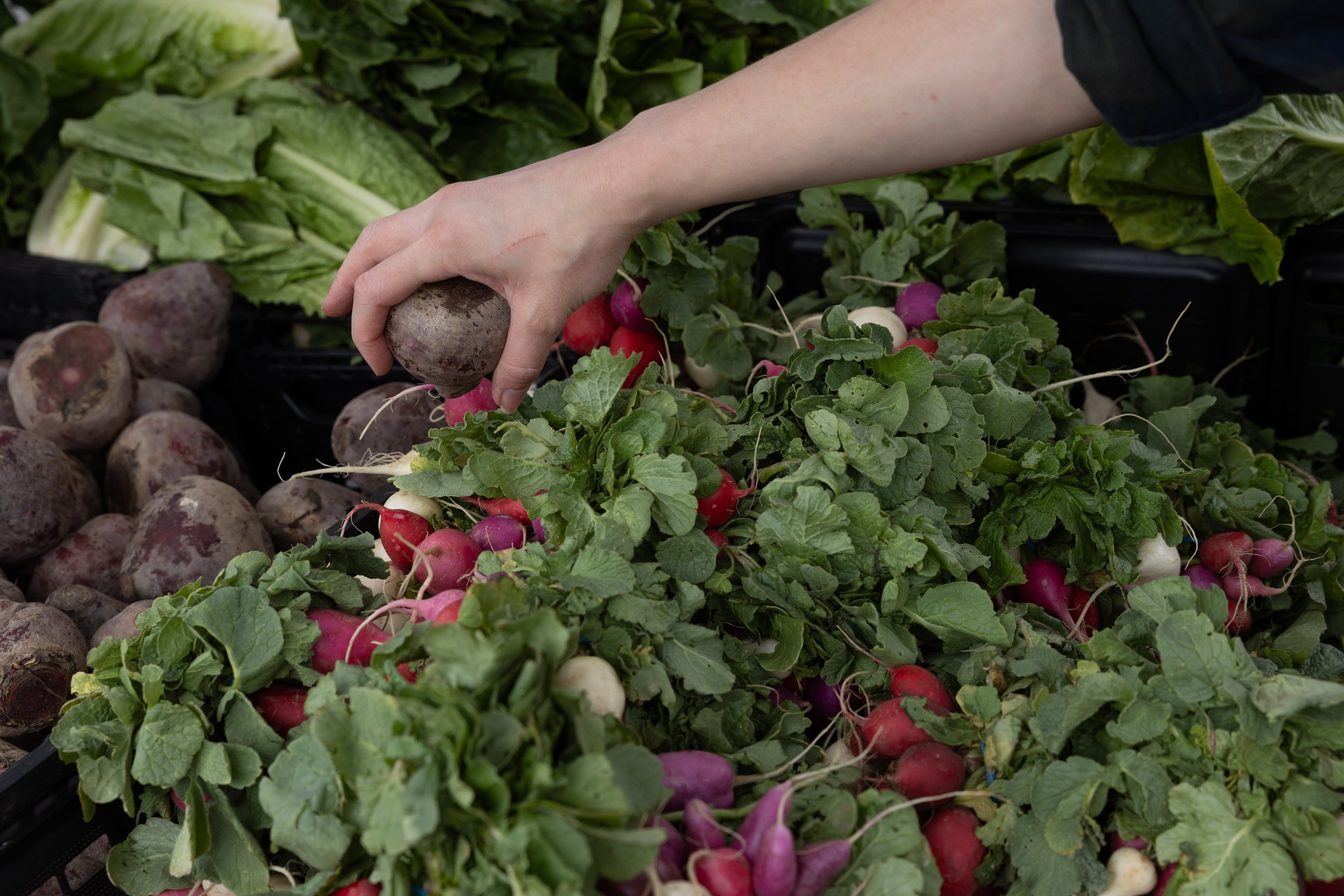 PearlStFarmersMarket_McLeod9Creative-6890.jpg