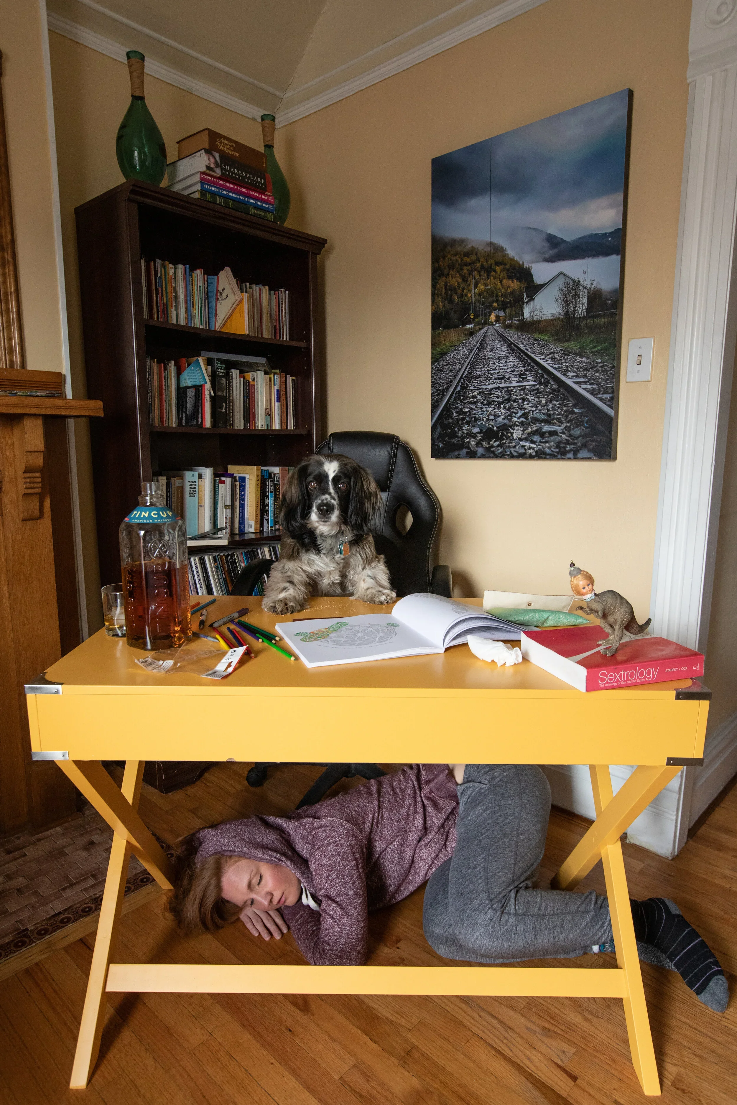 Chloe sleeps below the desk with Zaxby, the dog, perched at the desk looking like he's going to conquer the world.