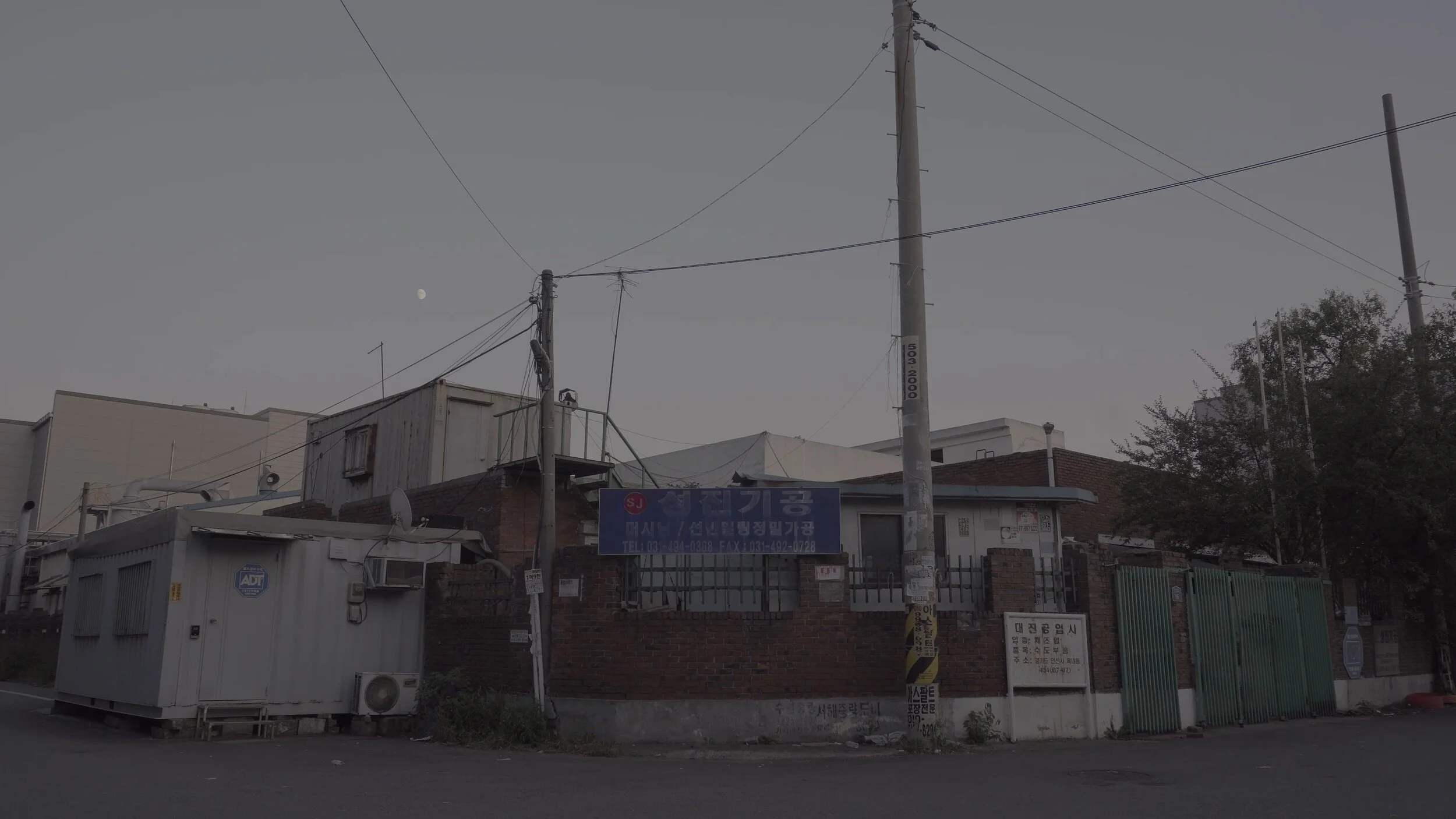 <온 세상은 평화로워 보여> 스틸 이미지
