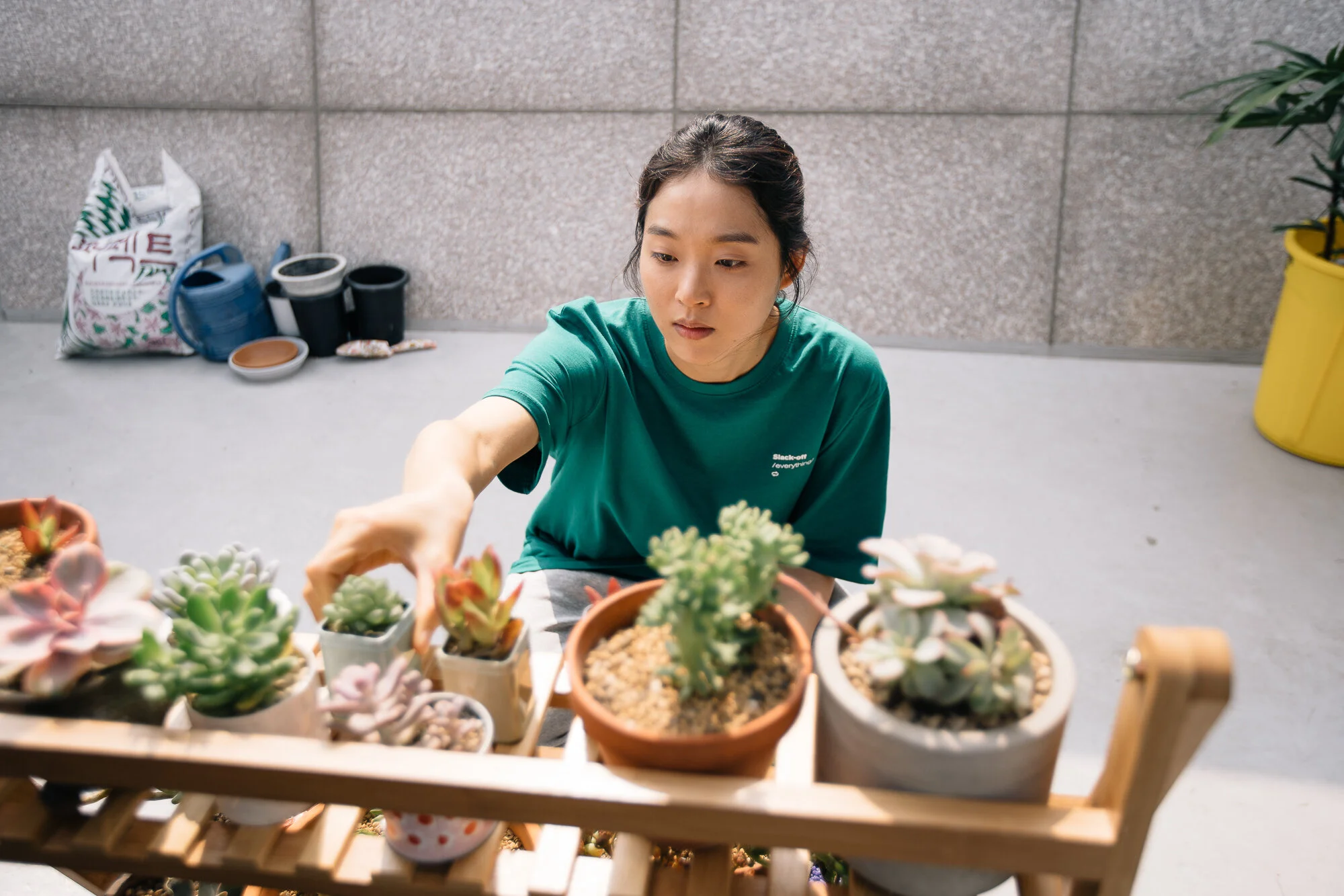 plantlife-1.jpg