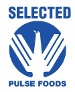 Selected-Pulse-Logo.png