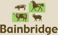 logo1.png
