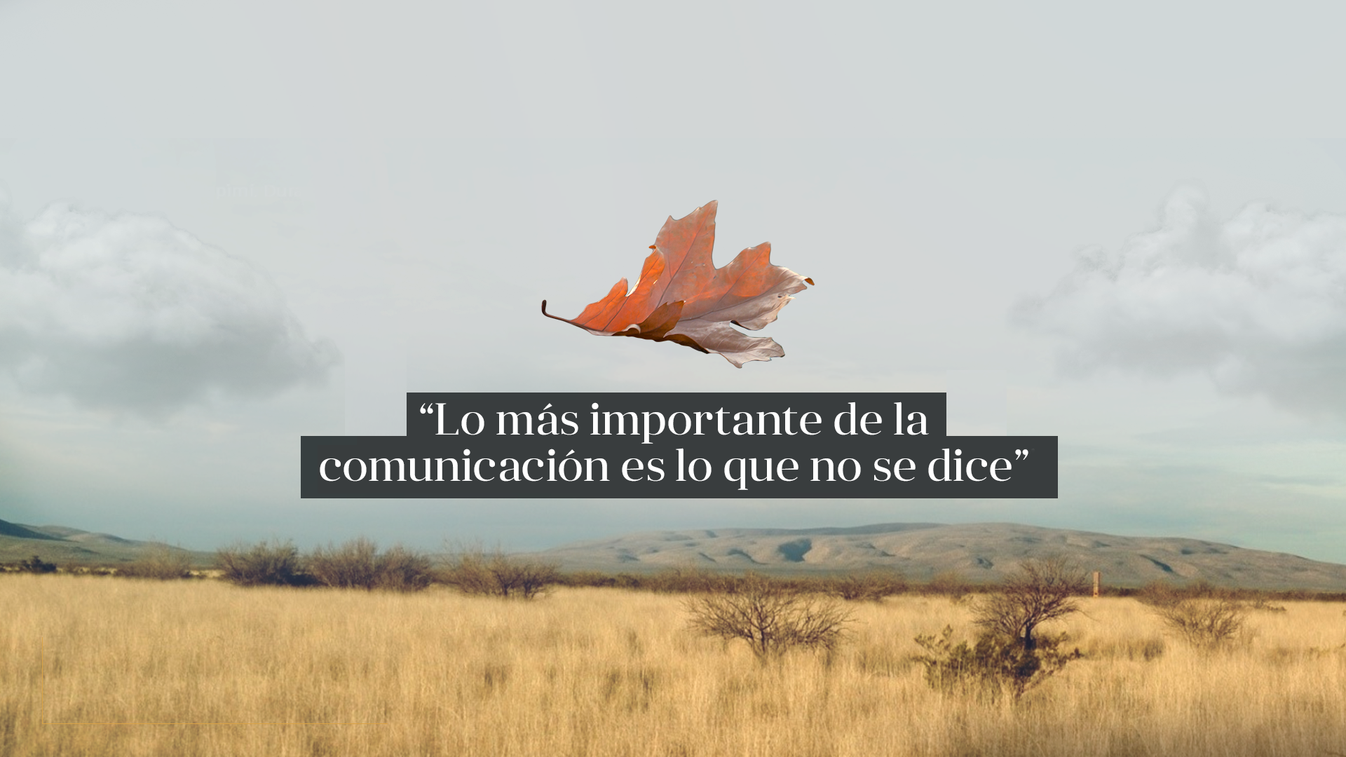 Banner-Portada-KWEB.png