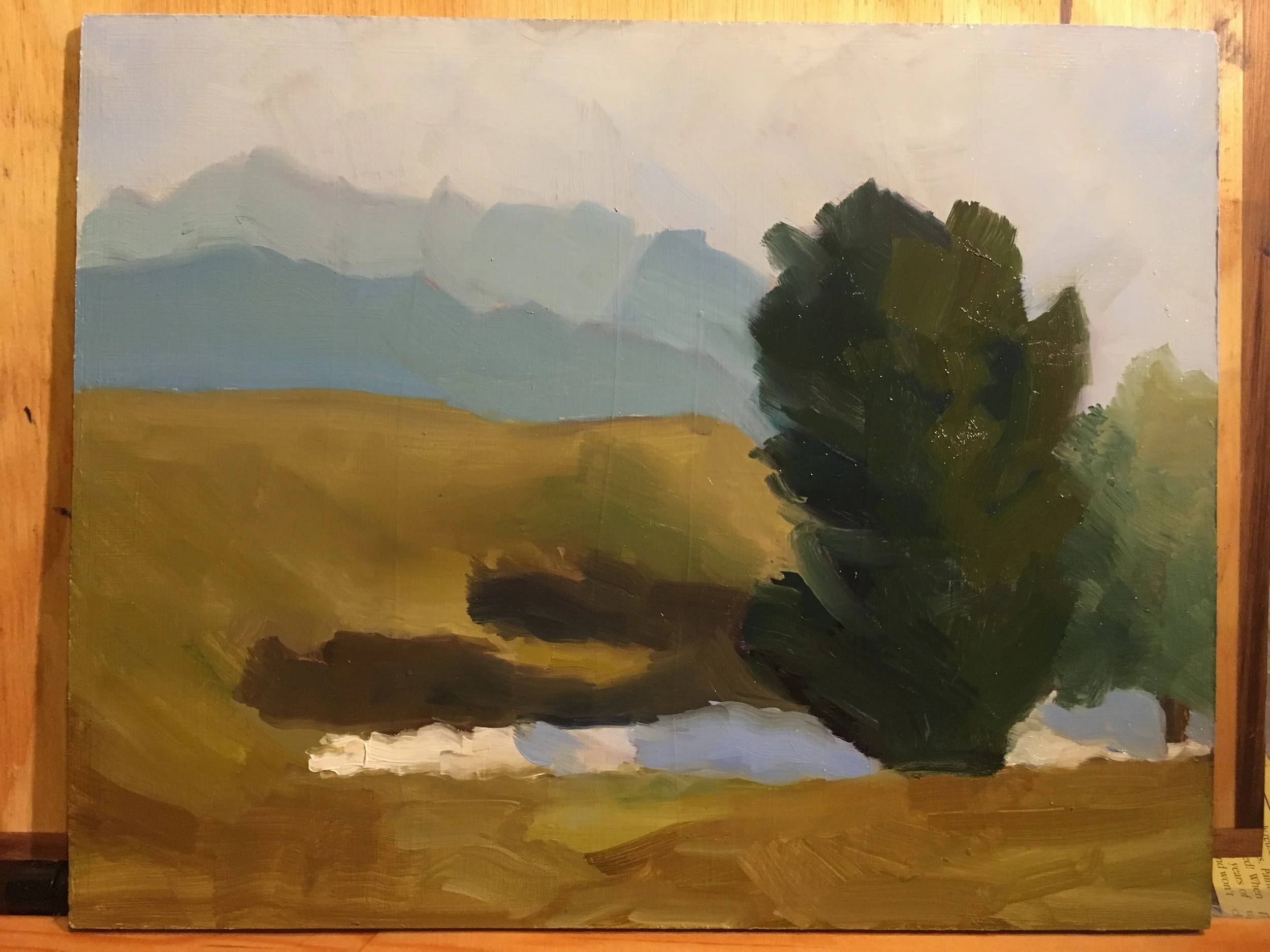 Sugarhouse Park tree study, 2018 (8x10) (Copy)
