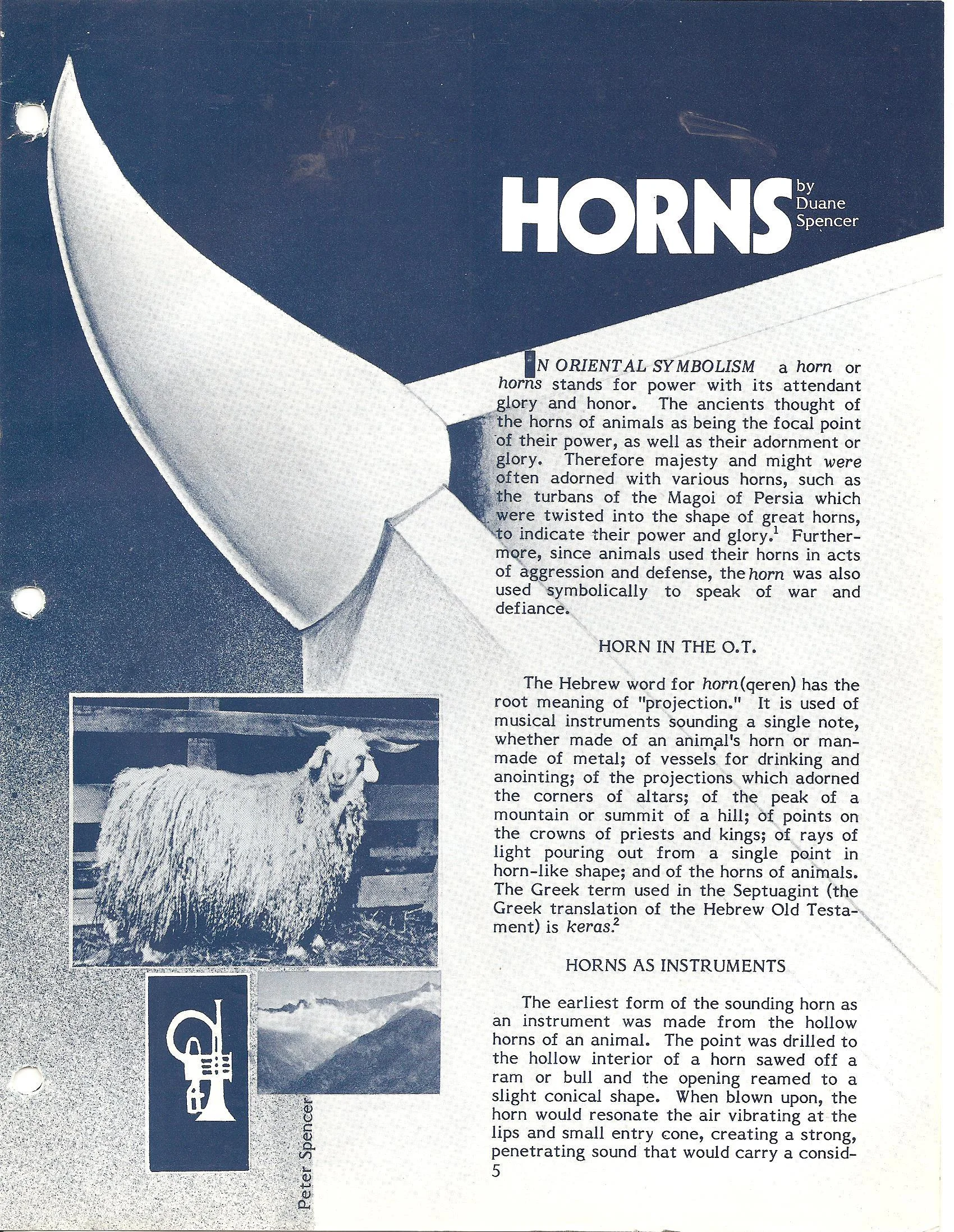 Horns image 001.jpg
