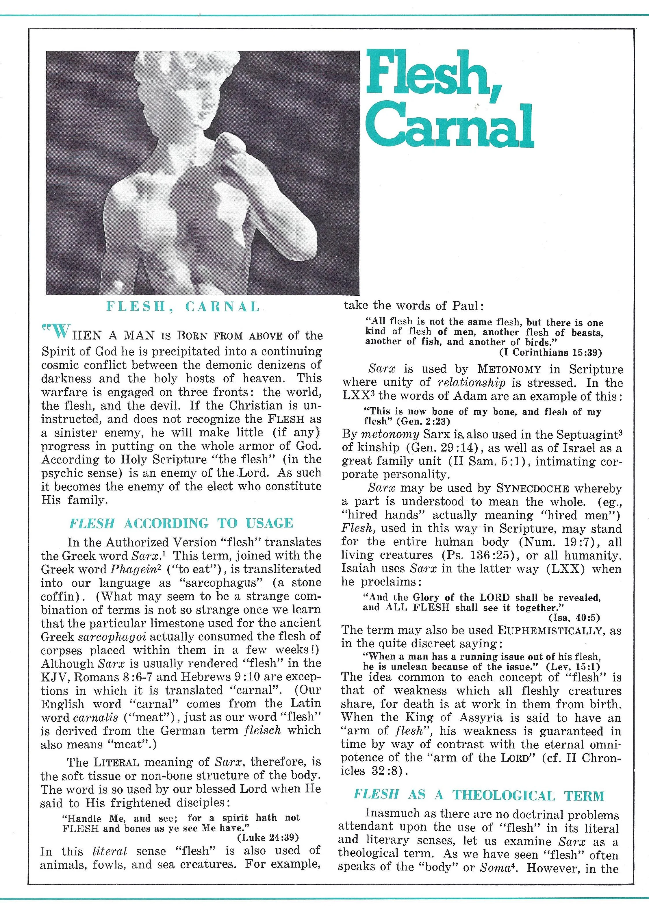 Key Word Study:  FLESH (audio)