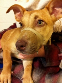 The first time we met at the shelter. 