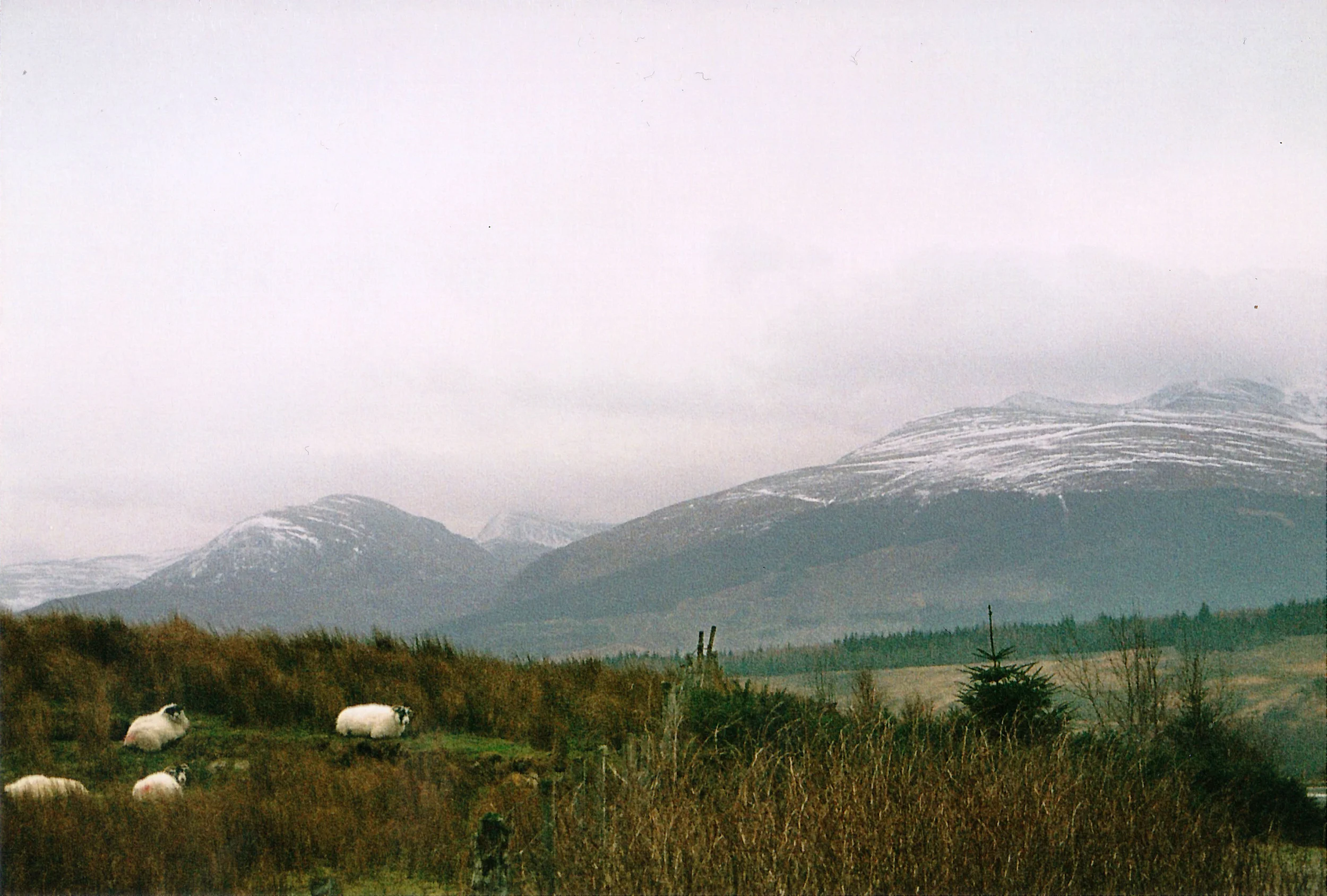 SCN_0038.jpg