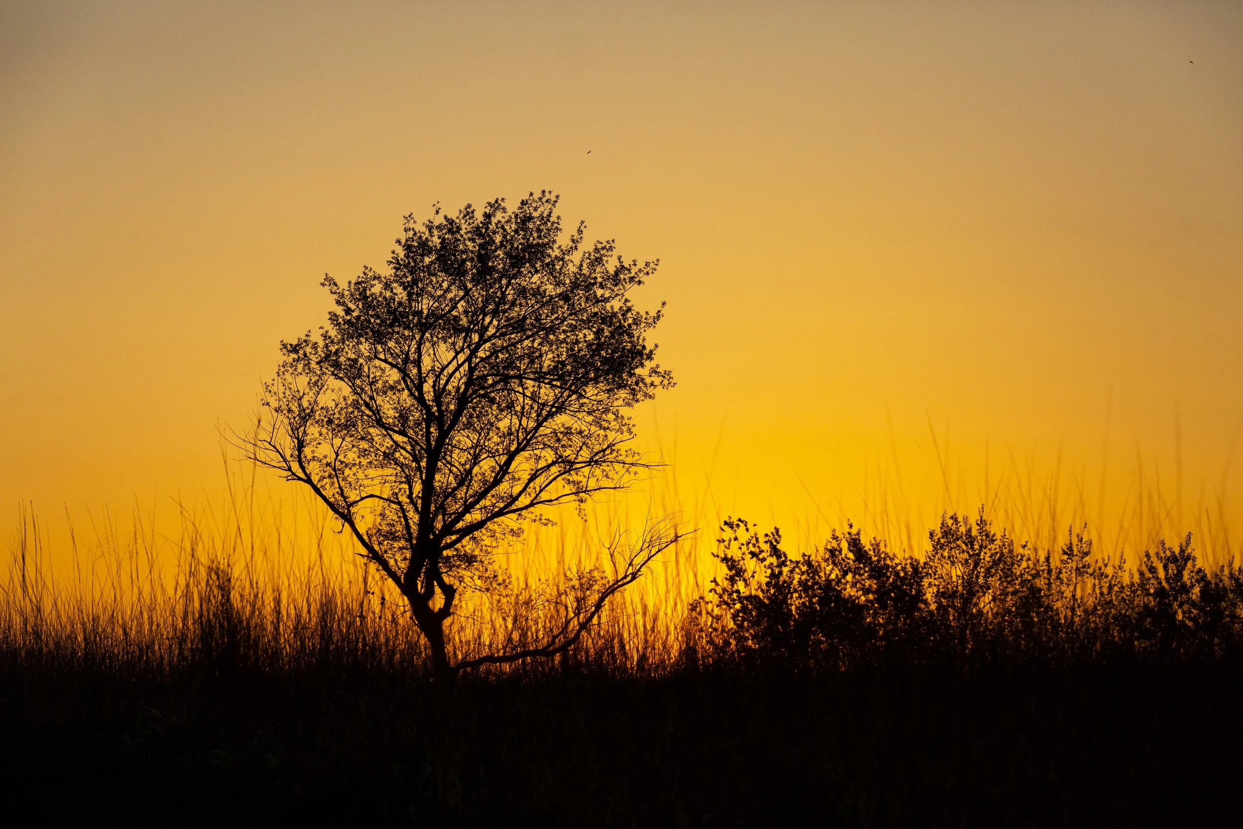 Tamarack-088.jpg