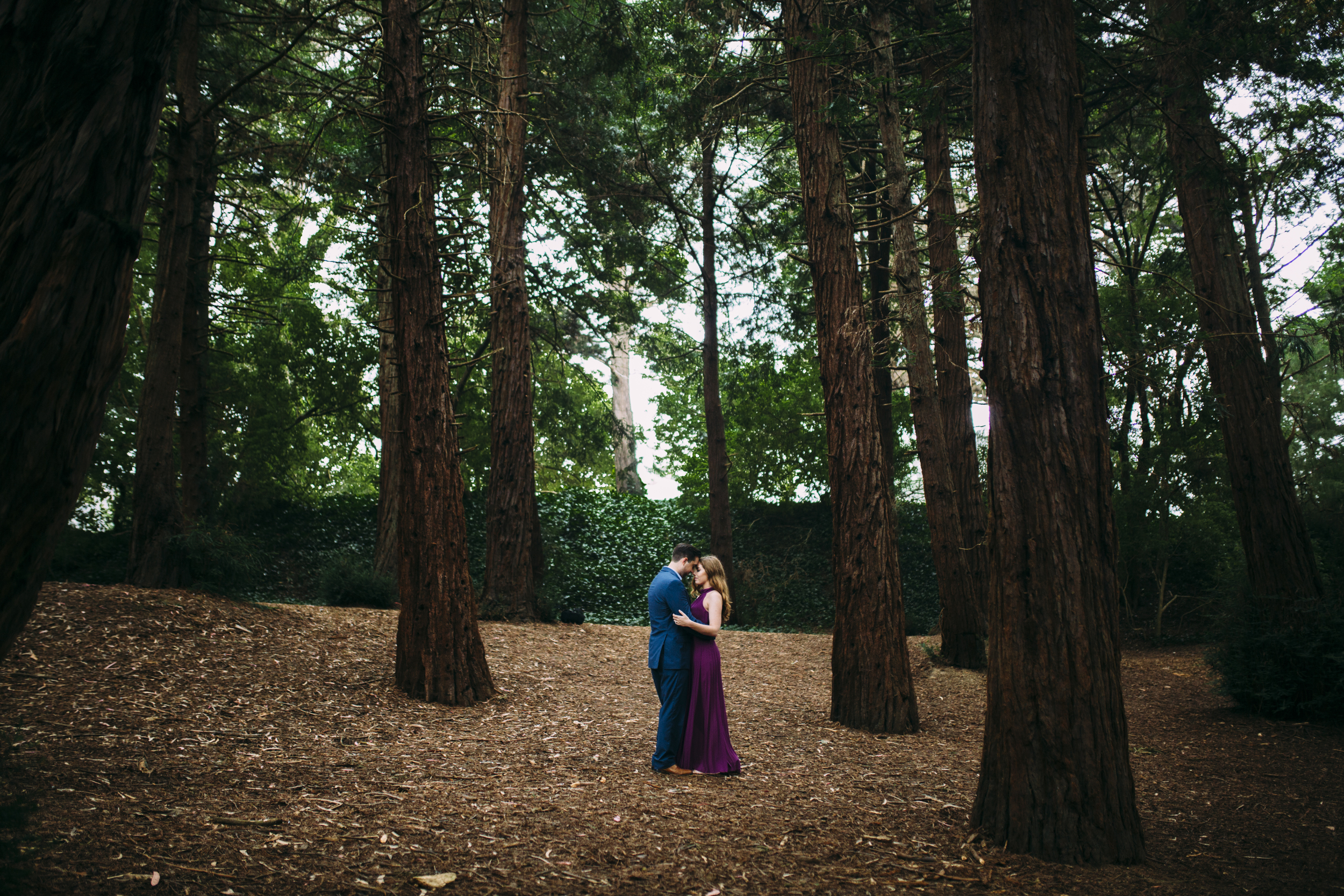  Nataly Zigdon Photography | San Francisco Wedding Photographer | Golden Gate Park | Engagement Session 