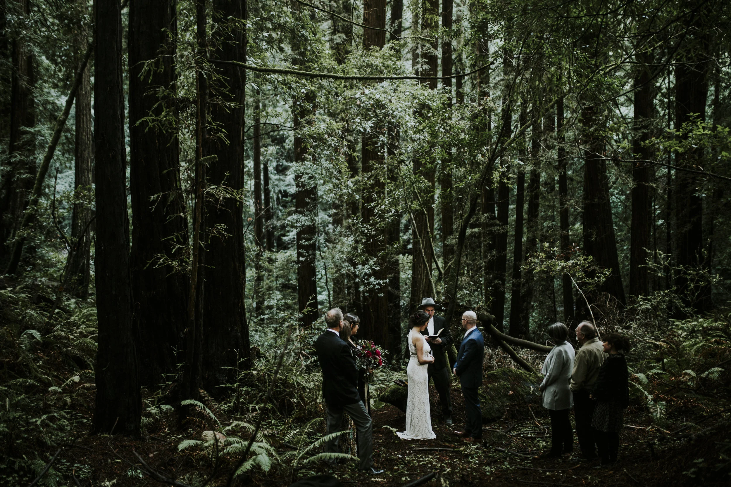 Kate & Darrell // Muir Woods // Forest Elopement 
