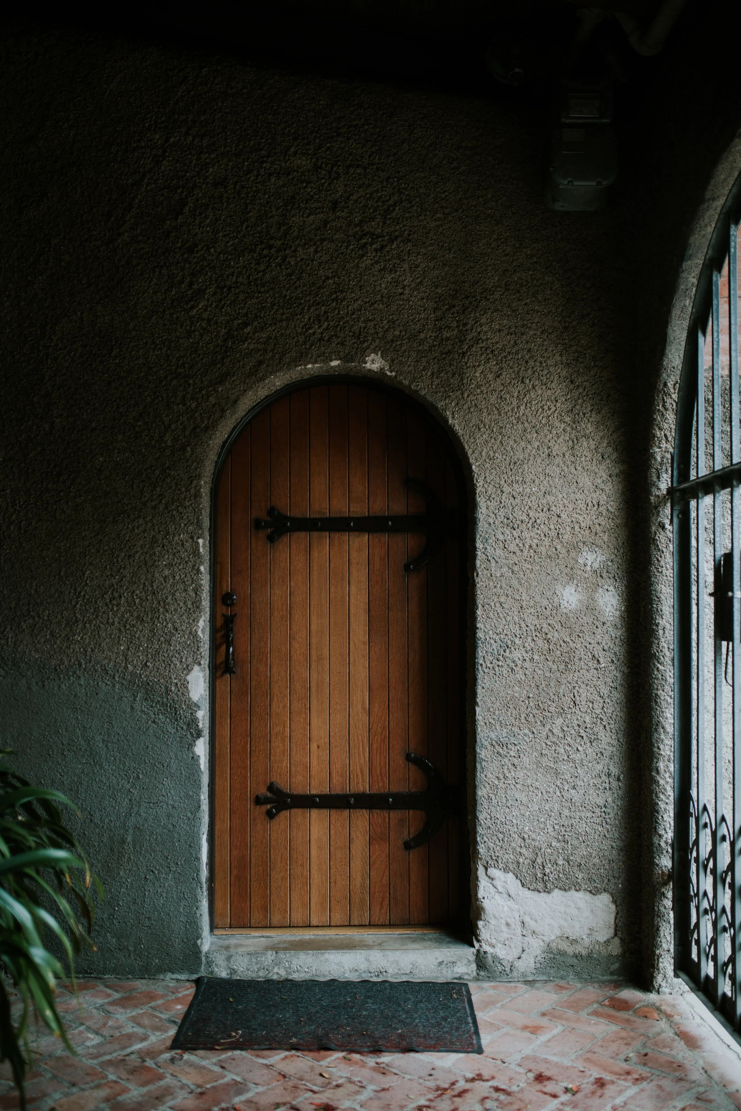 0C8A6788-20.jpg