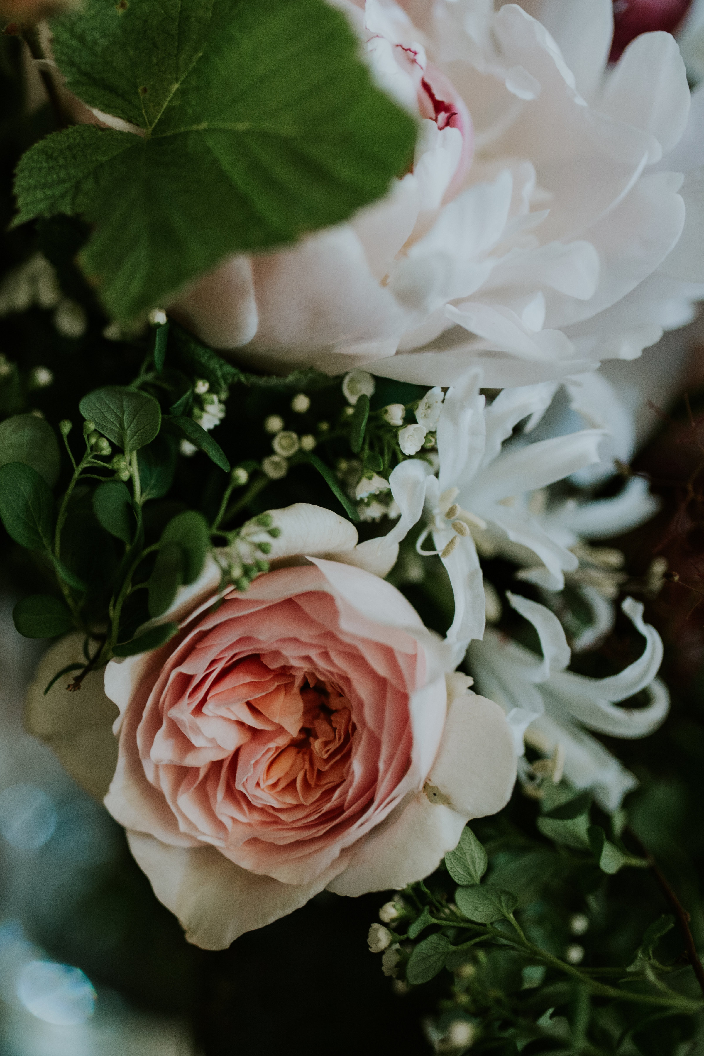 0C8A6880-43.jpg
