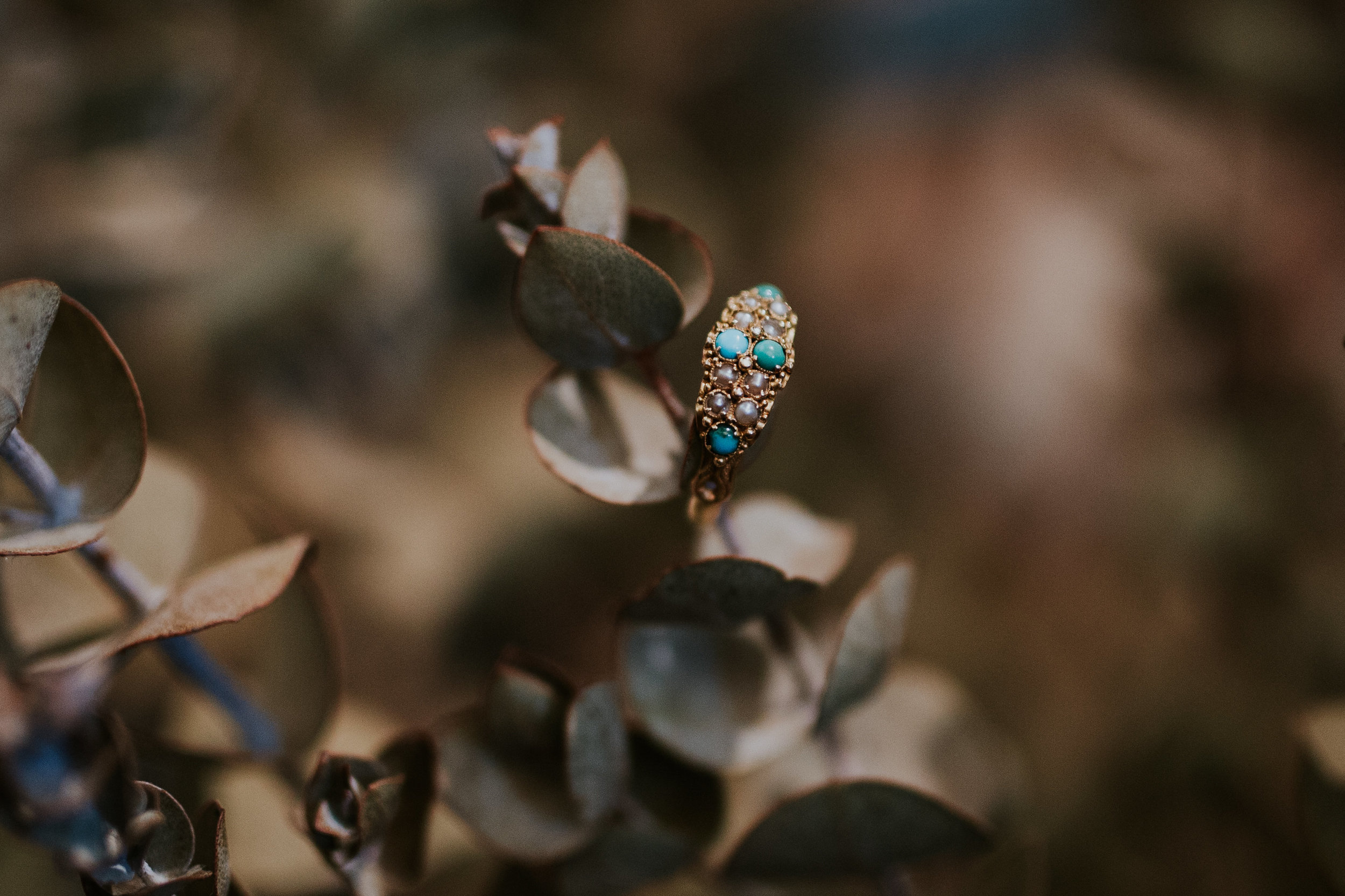 0C8A6978-80.jpg