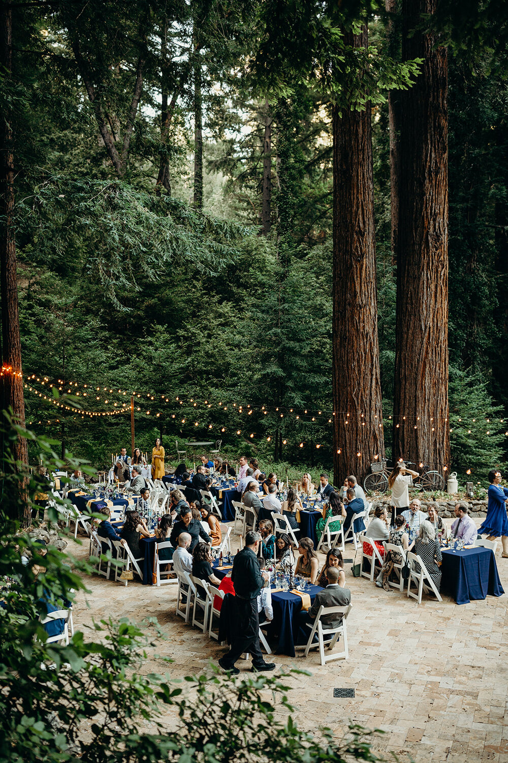 Allison-AJ-Waterfall-Lodge-Santa-Cruz-Wedding-1046.jpg