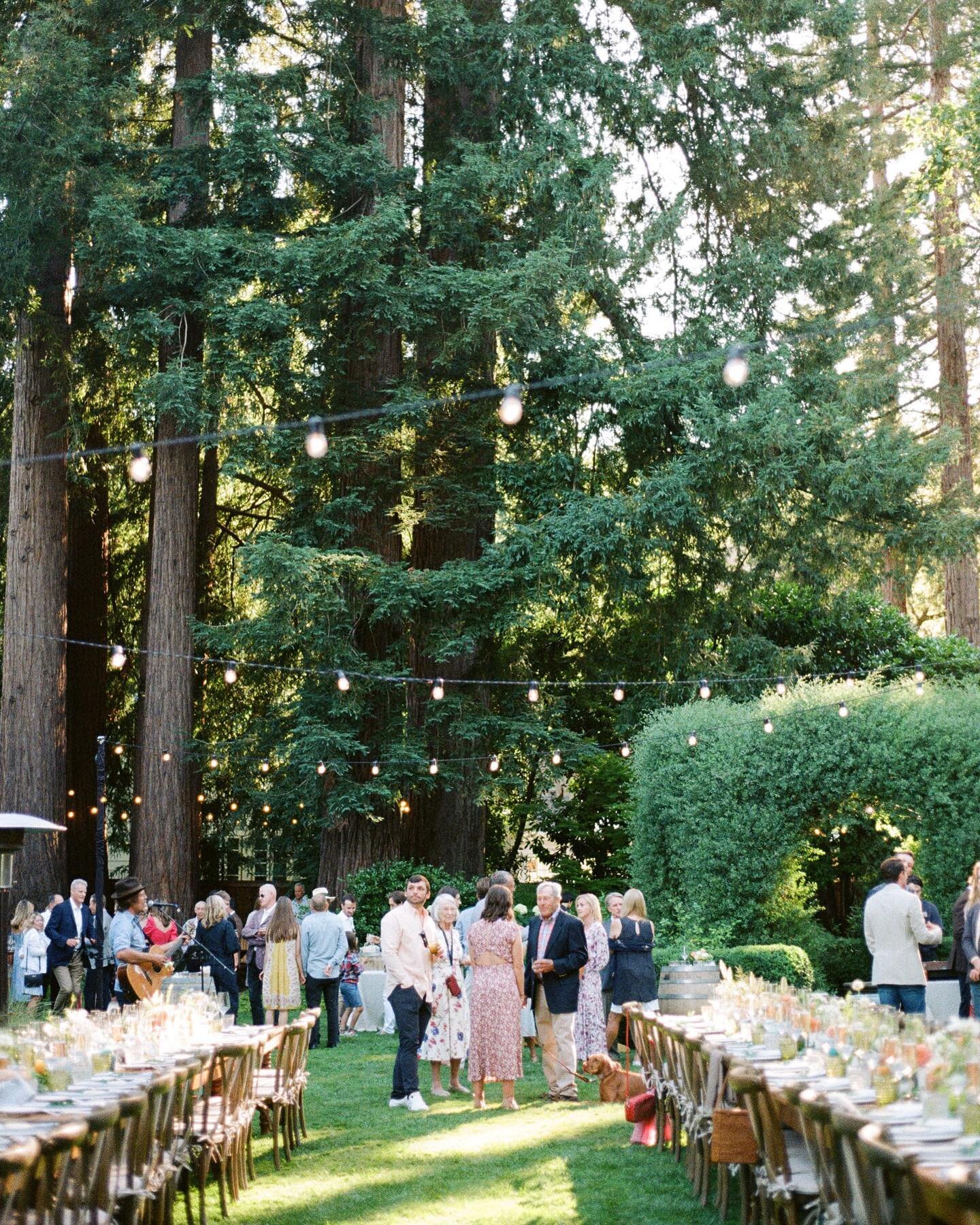 A really perfect garden party wedding 🥹 #film