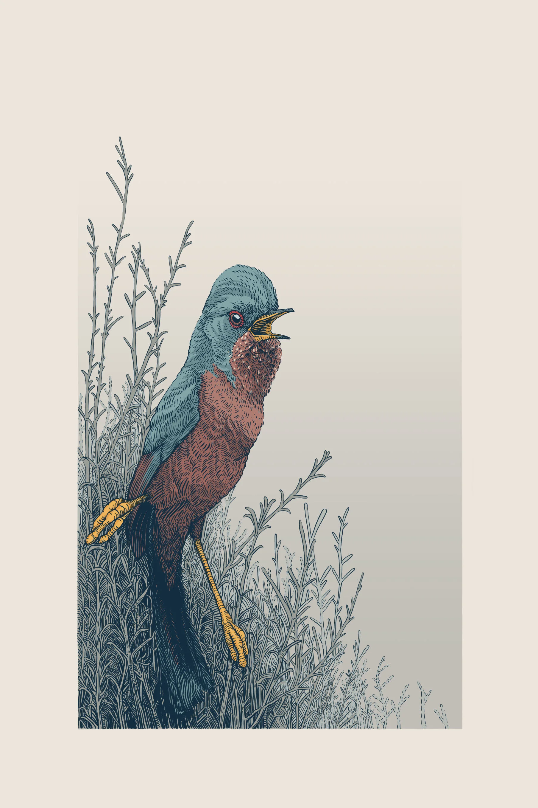 dartford warbler.jpg