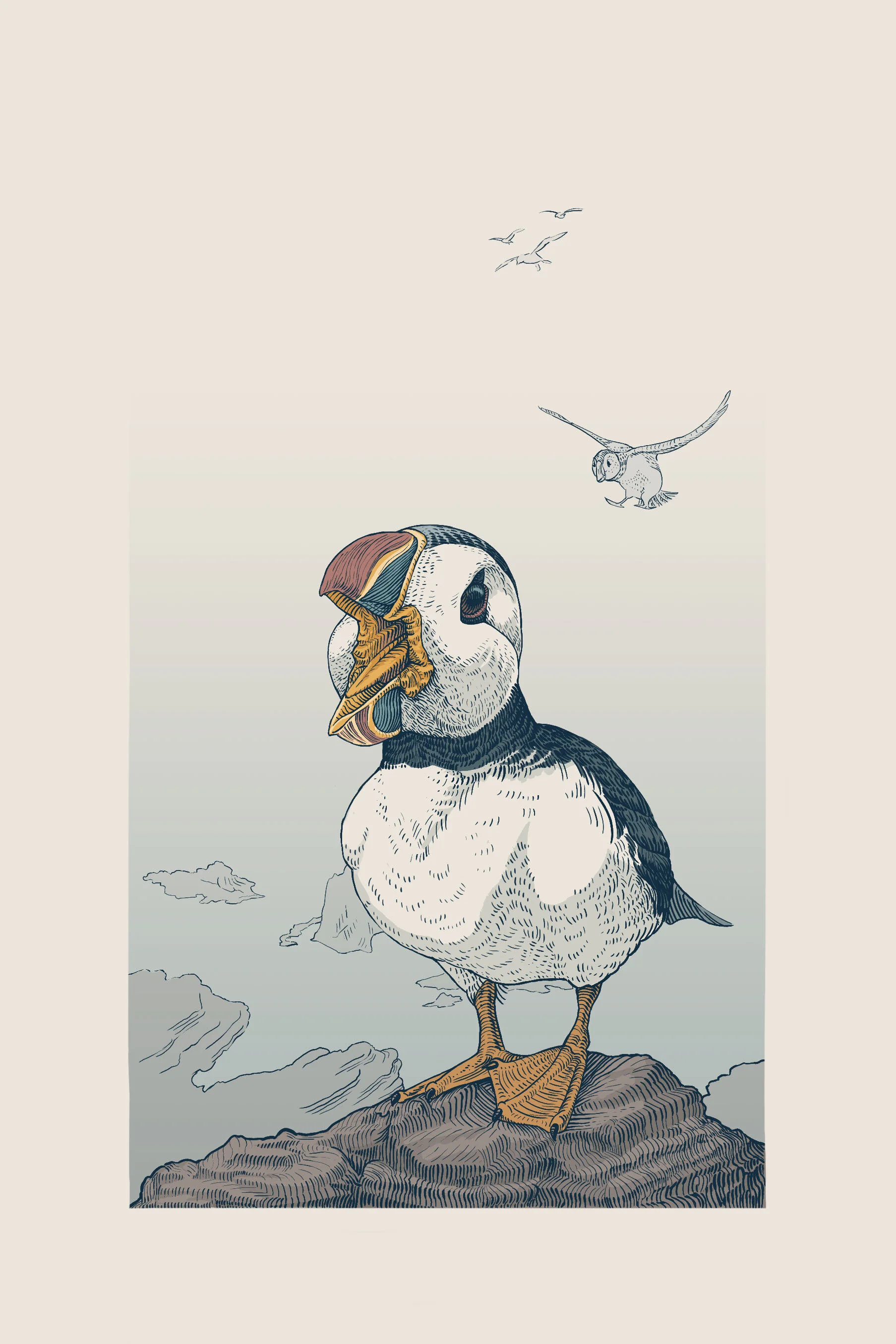 atlantic puffin.jpg
