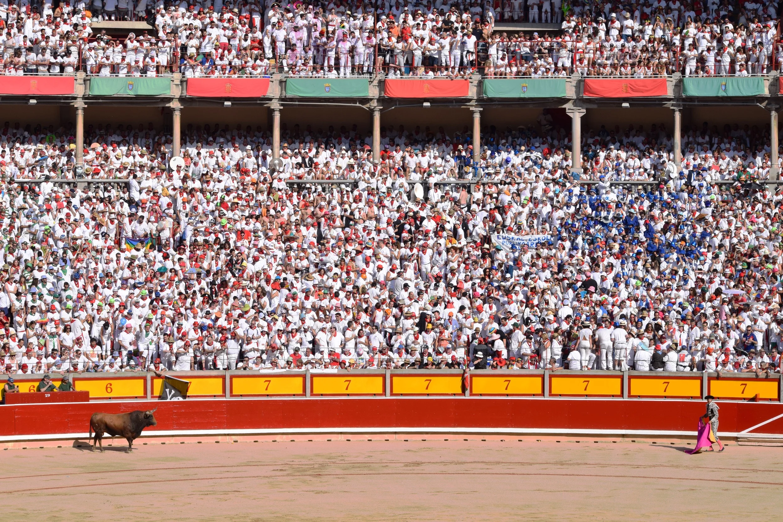 Bull fight, Pamplona, Spain