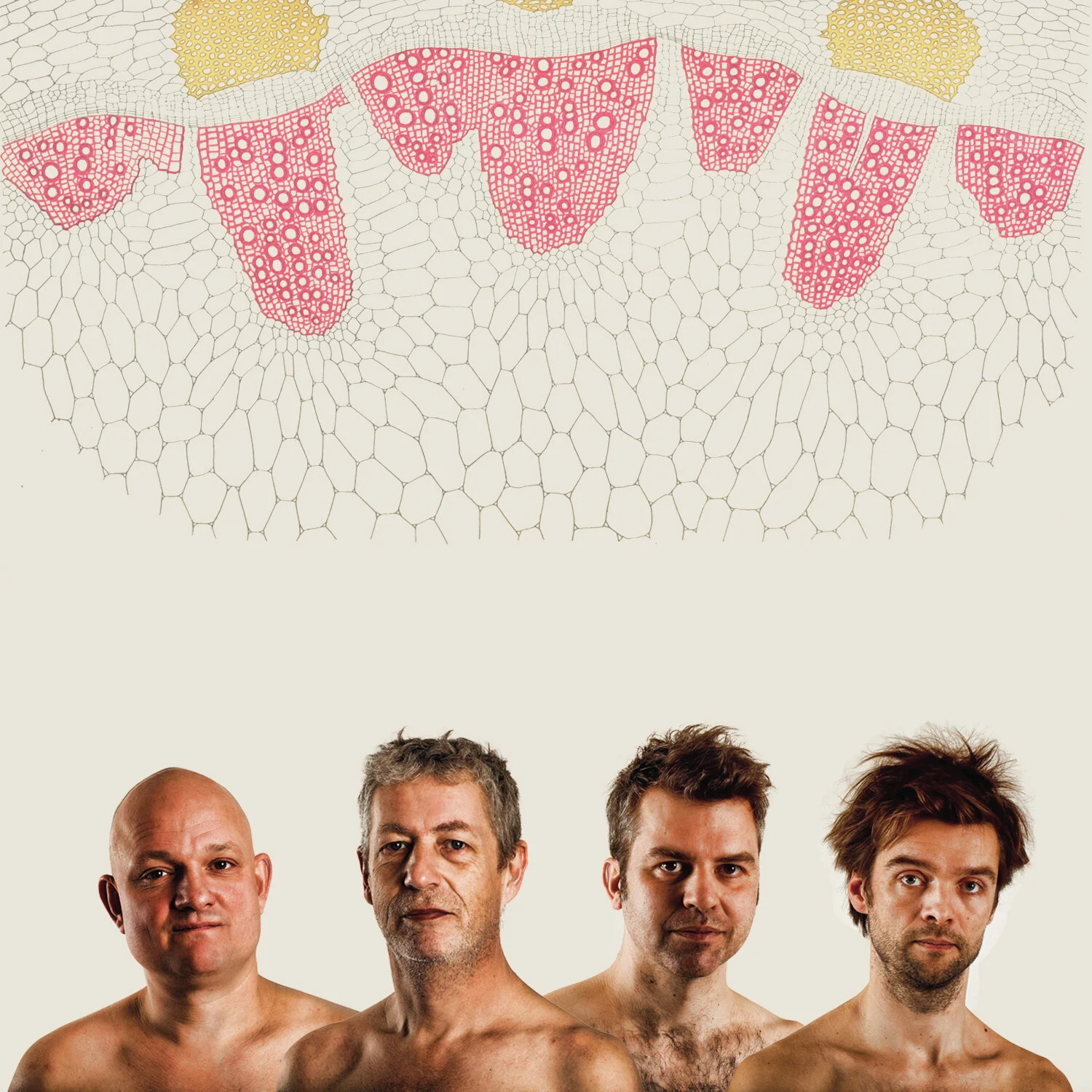 Saxopaths: Pathology