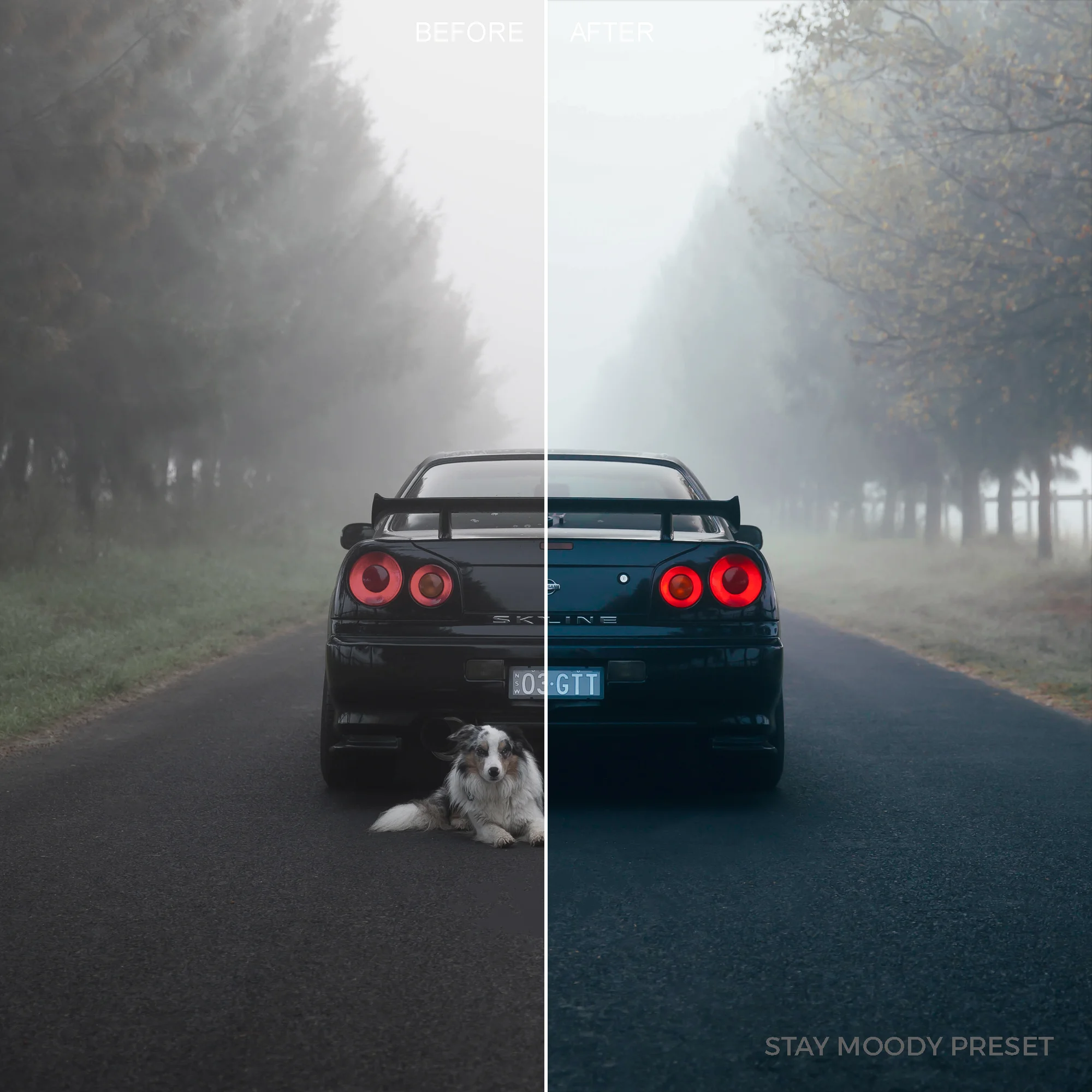 STAY_DRIVEN_MOODY_PRESET_2.jpg