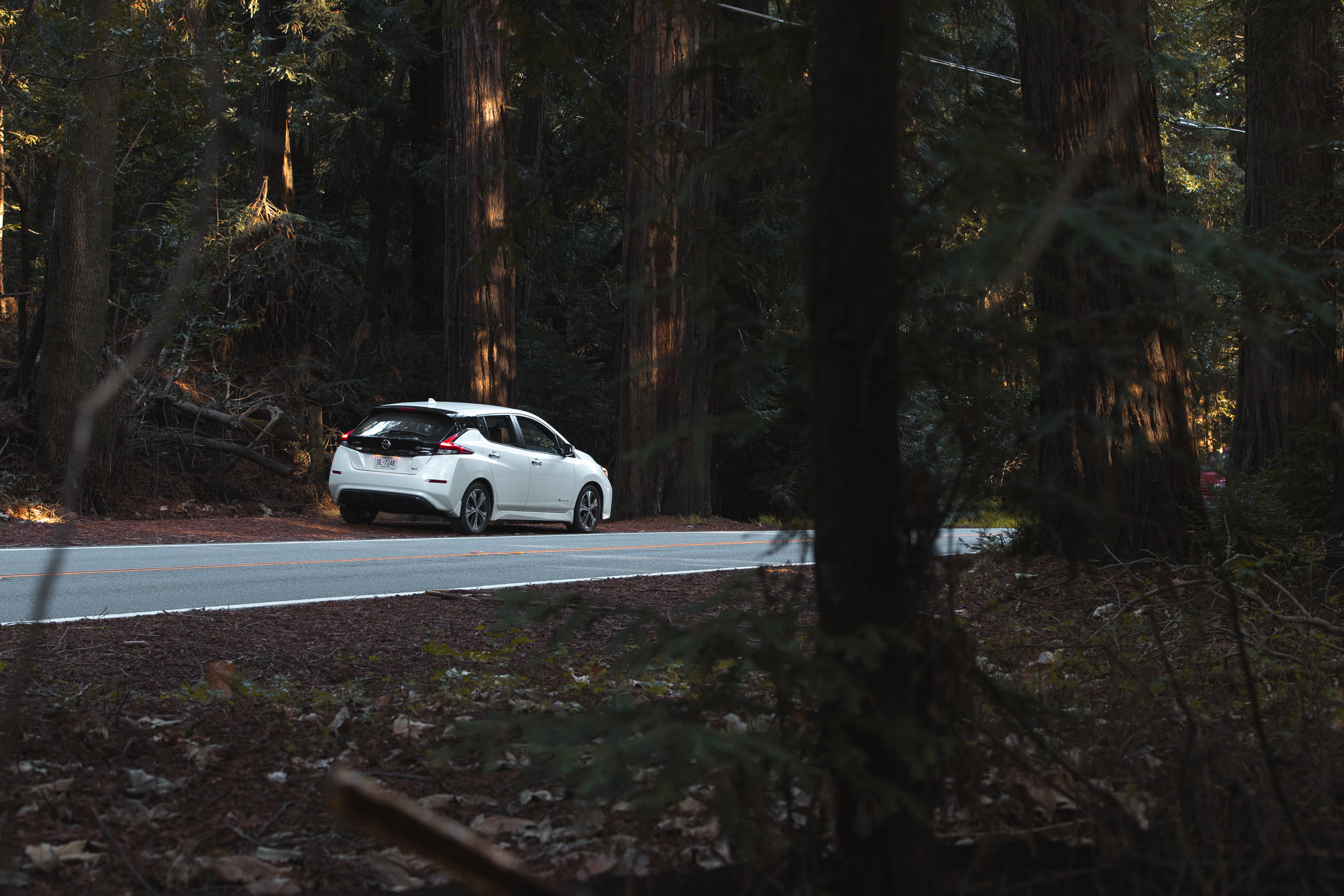 ABE1_LEAF_CAR_-26.jpg