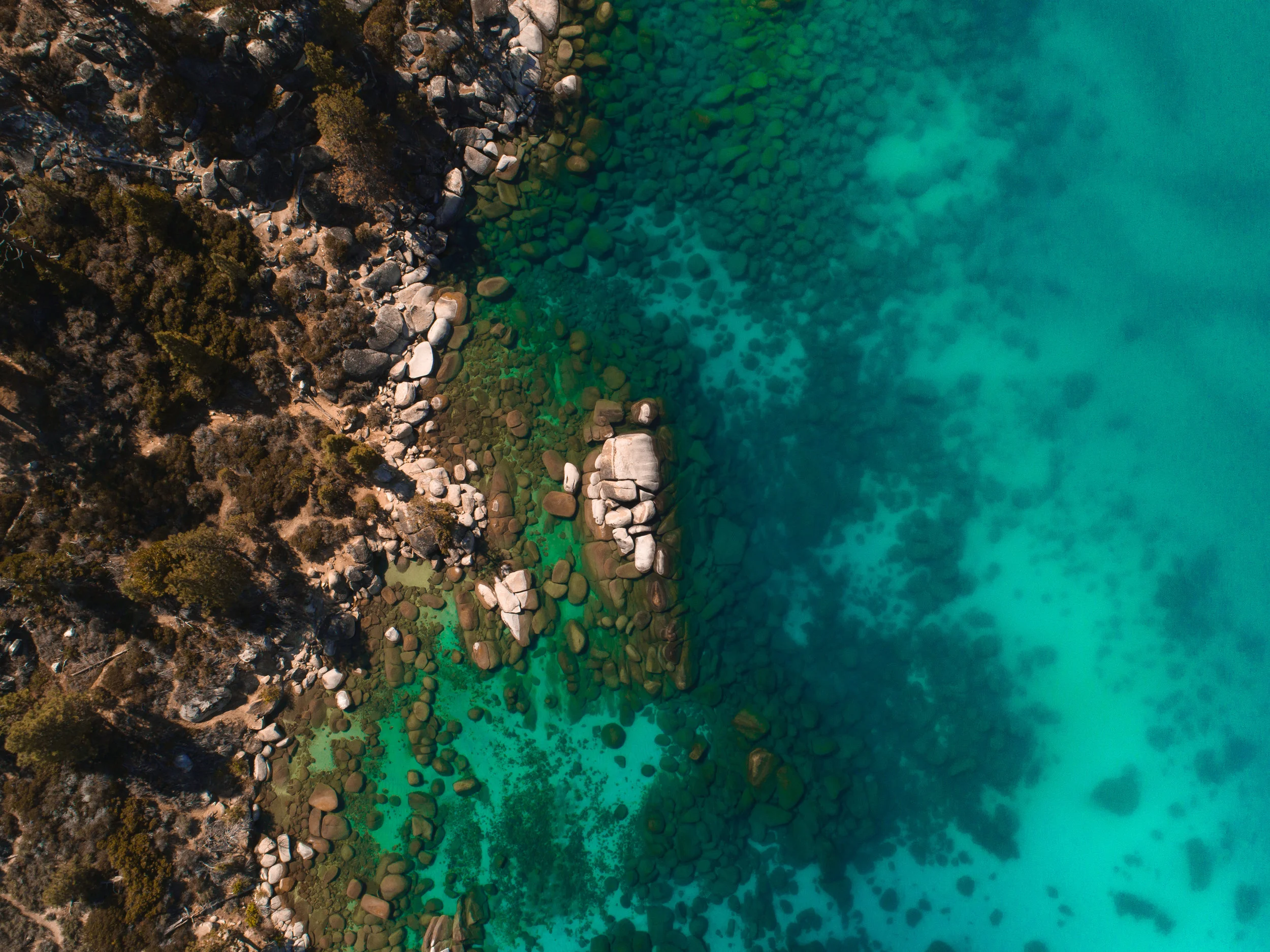 ABE1_Lake_Tahoe_May_2018-93.jpg