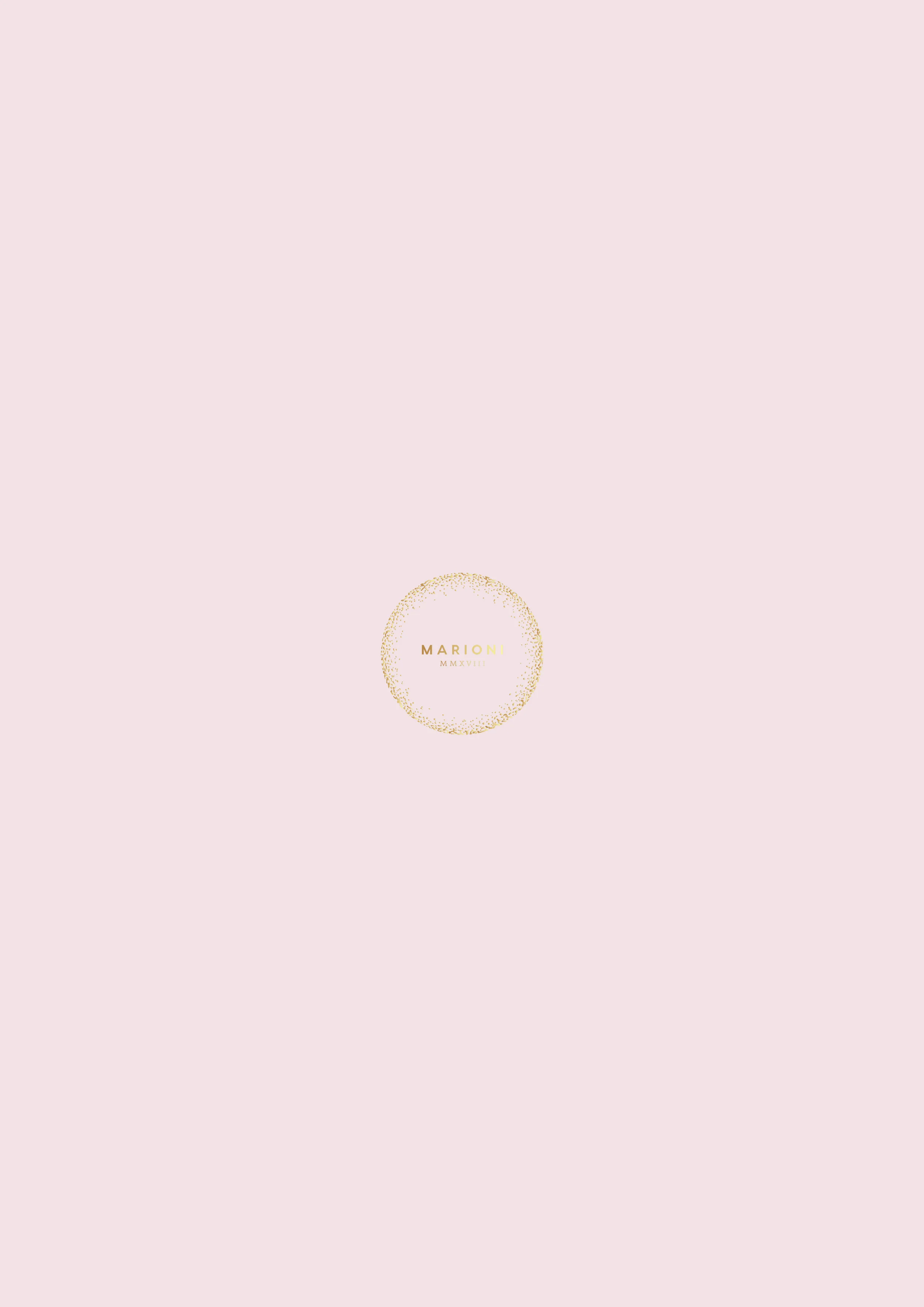 Marioni_Jewelry_Lookbook13.jpg