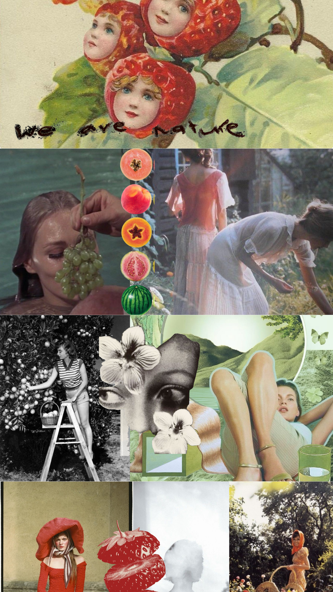 Fruit + Other Foods = Digestive Drama?