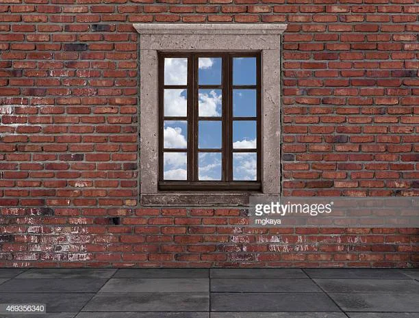 Beyond the brick wall of policy implementation