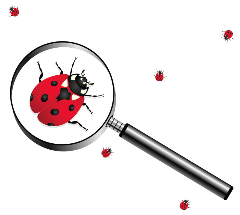 What does it mean to criminalise coercive control?