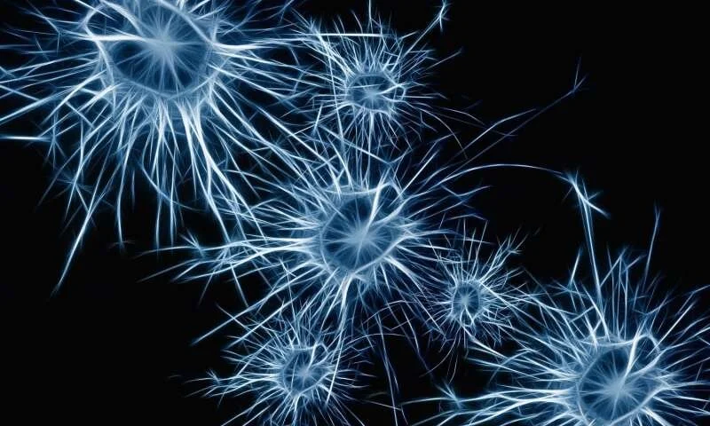 Meeting the technology needs of older Australians with MND: A cost-effective approach