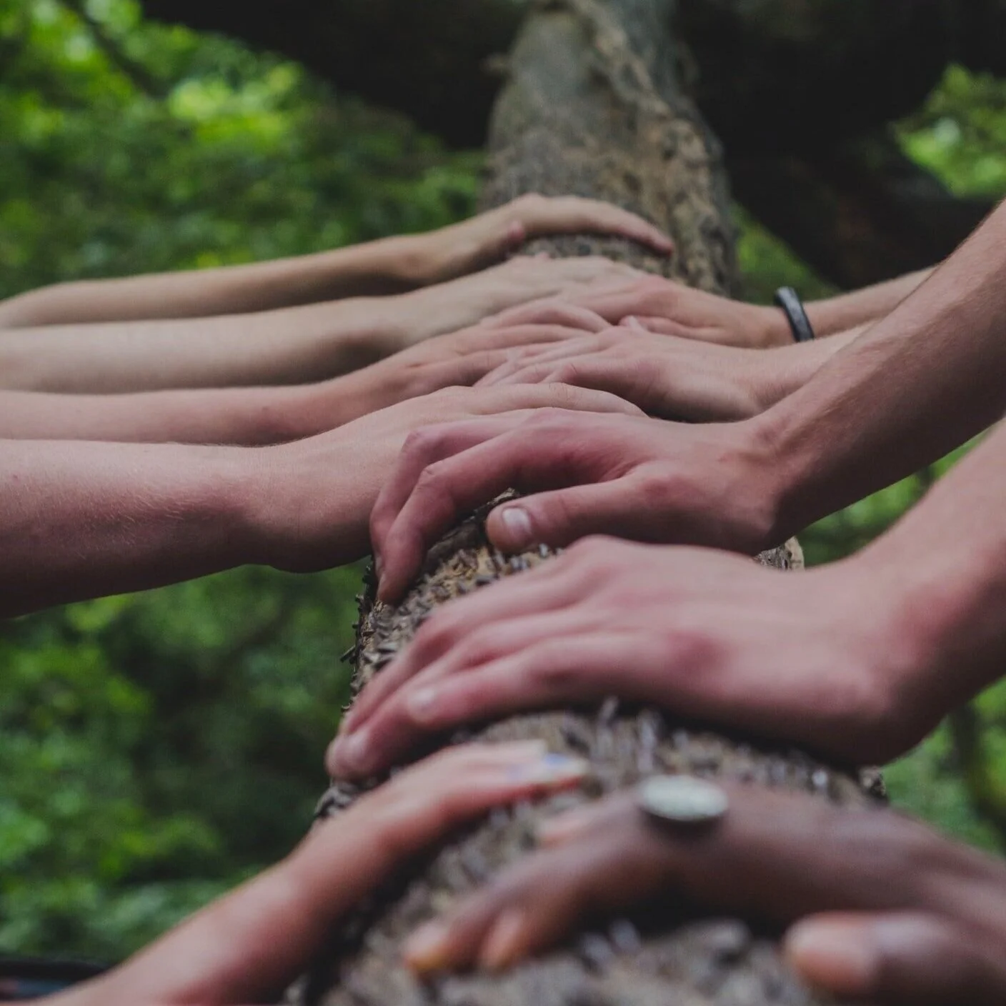 Toward our Human Future: catastrophic risk, the public good, and the importance of community