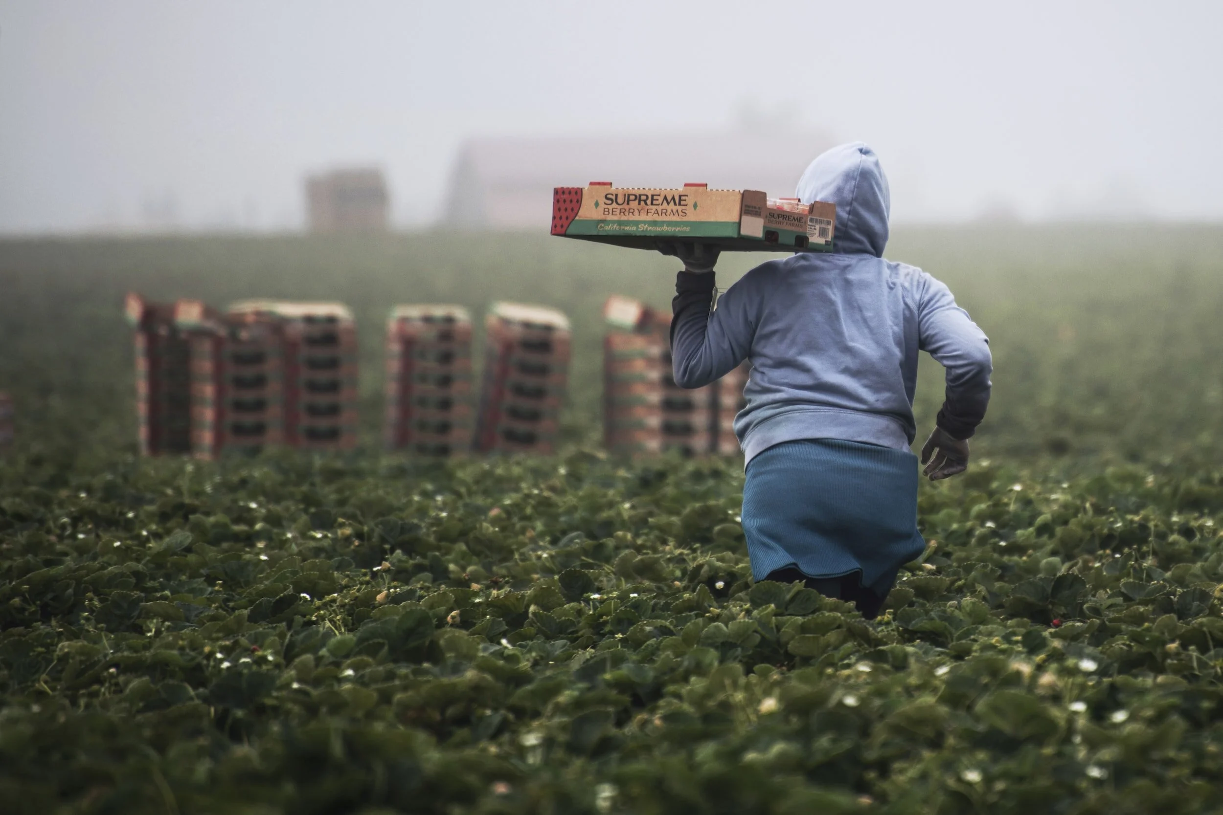 How to end the exploitation of migrant workers
