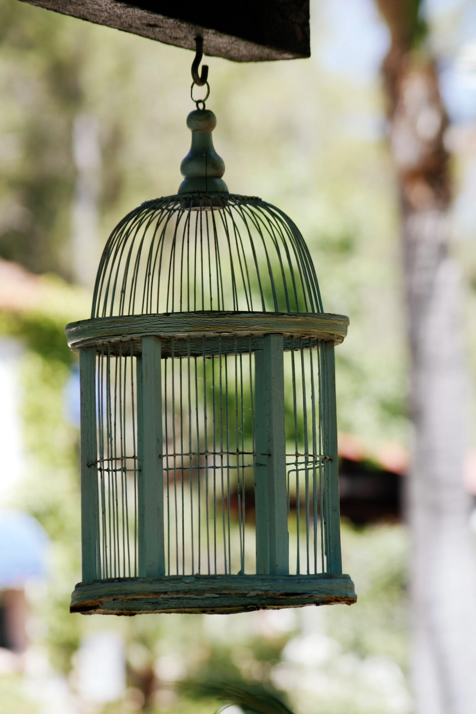 Traps, Assumptions and other acts of Policy Self-Sabotage – part two