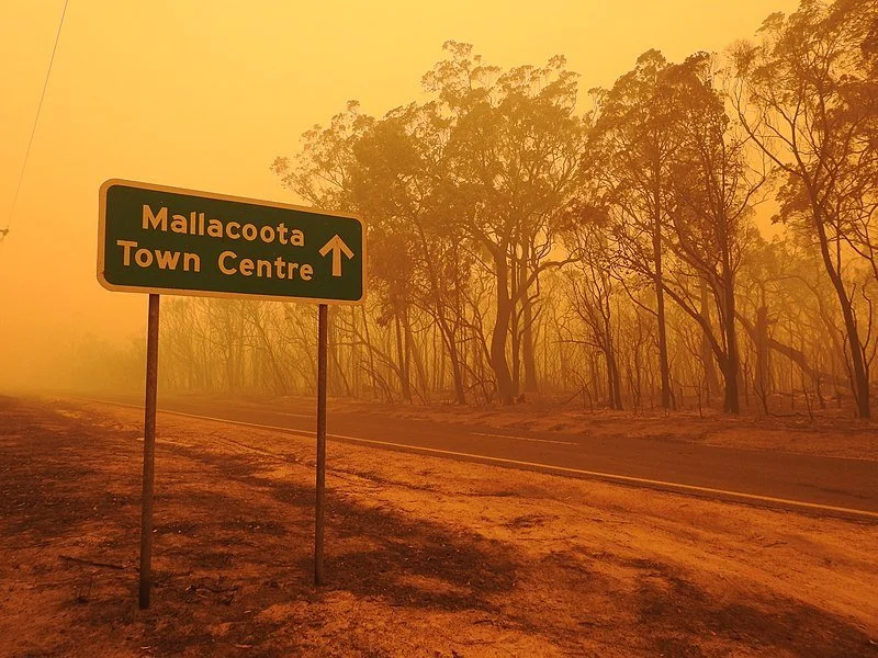 Deadlier than flames: The devastating impacts of bushfire smoke
