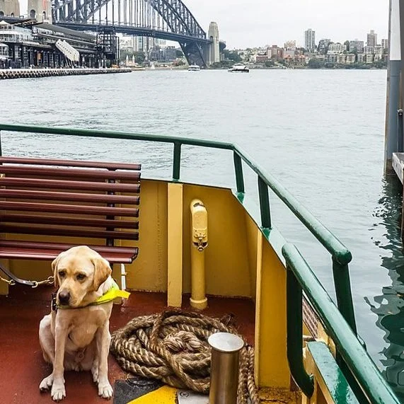 Measuring the hidden costs of disability in Australia