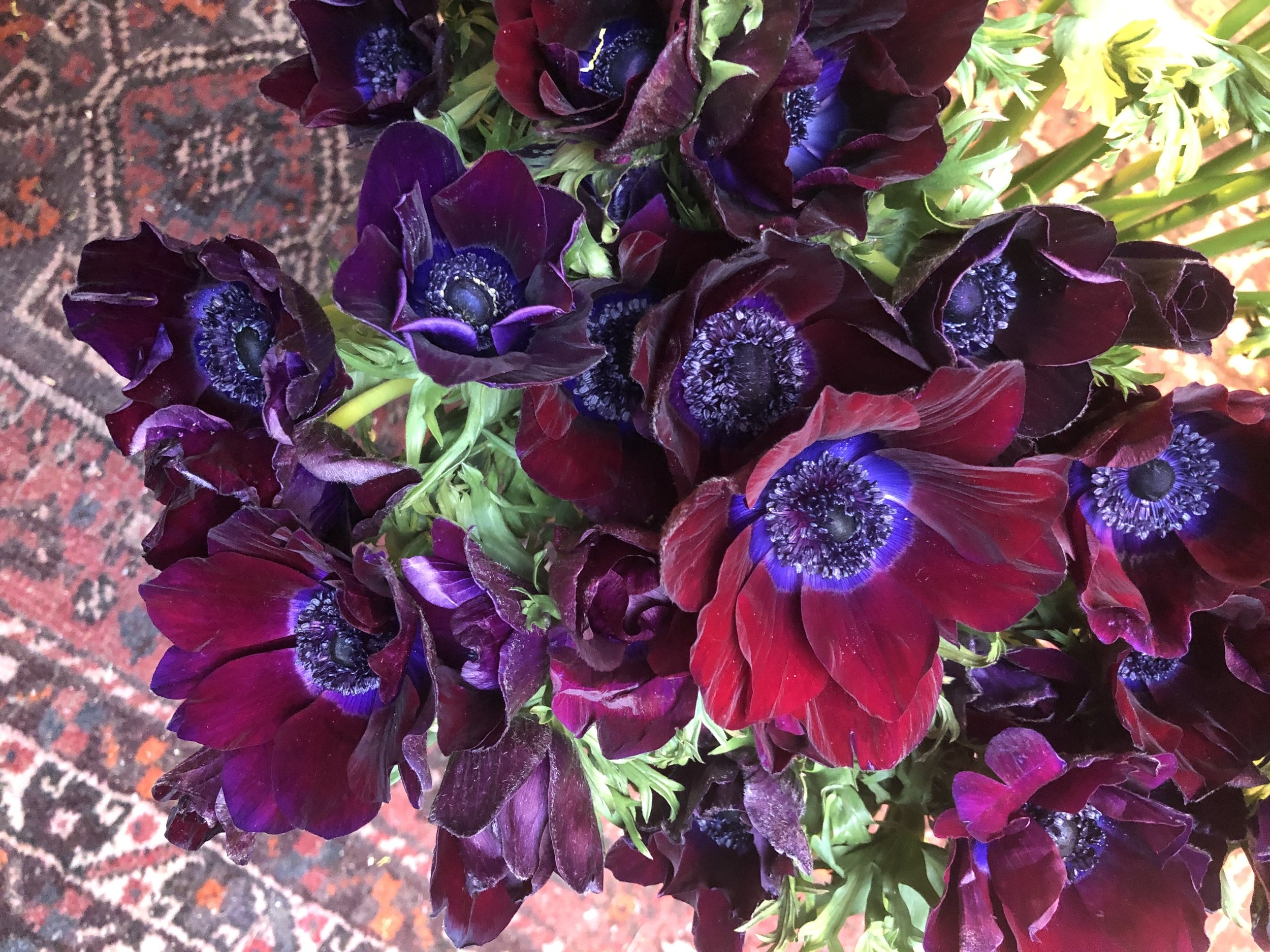 Voor een dagje uit Trek Coördineren bloemen — Klavertje Vijf